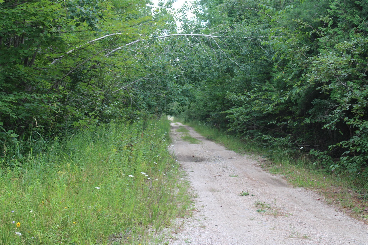 main property photo 55