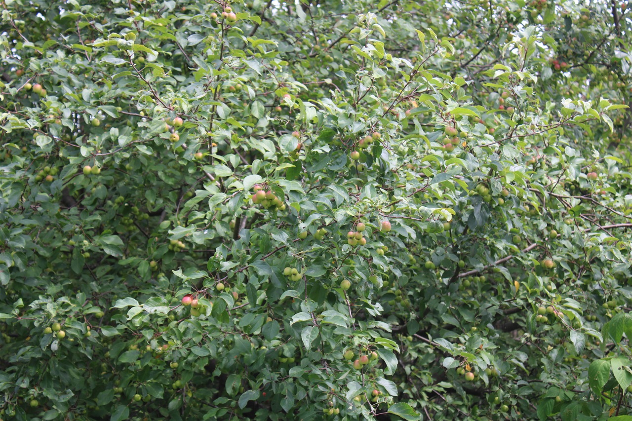 main property photo 56