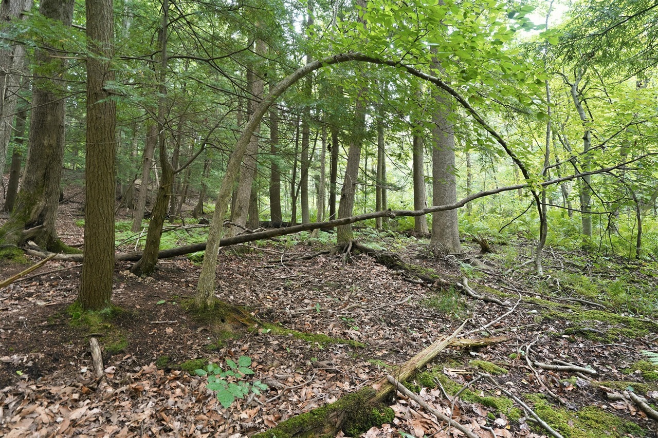 main property photo 42