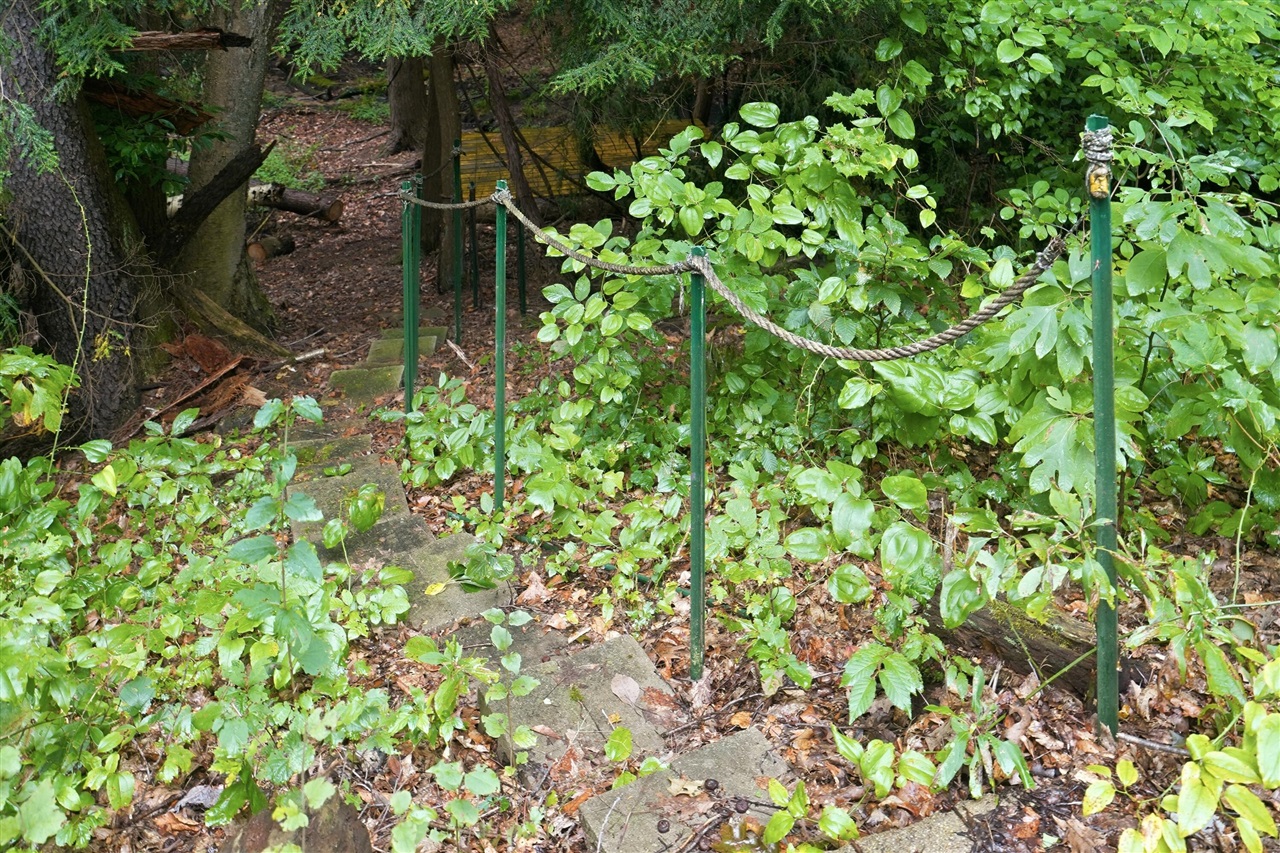 main property photo 43