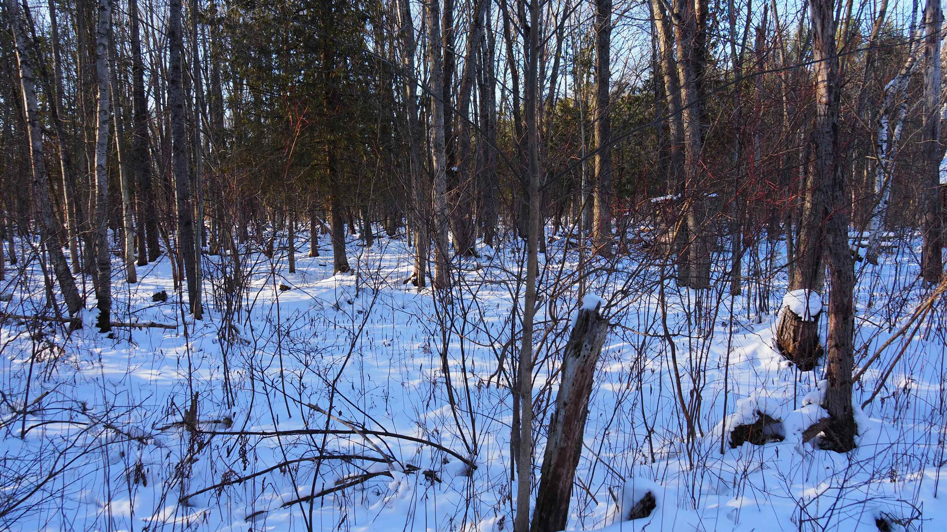 main property photo 14