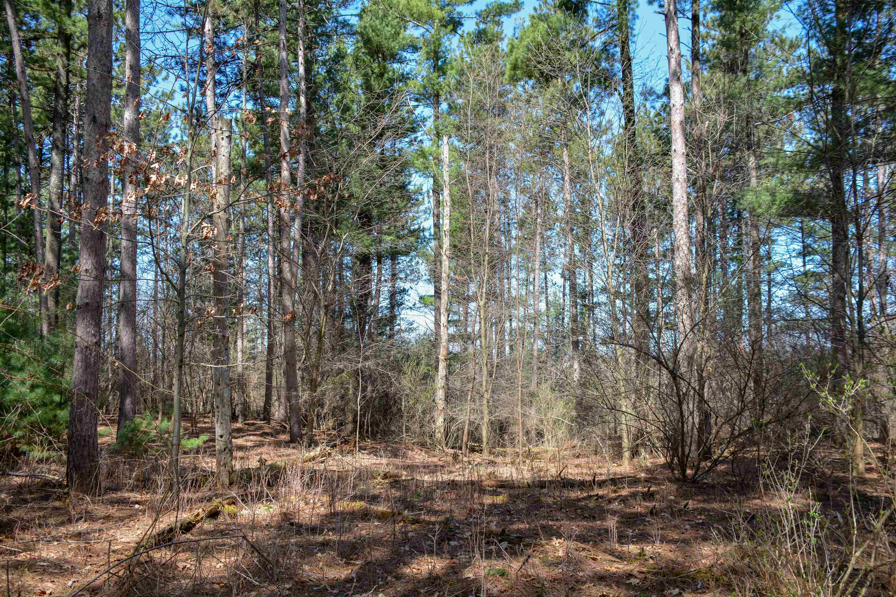 main property photo 13