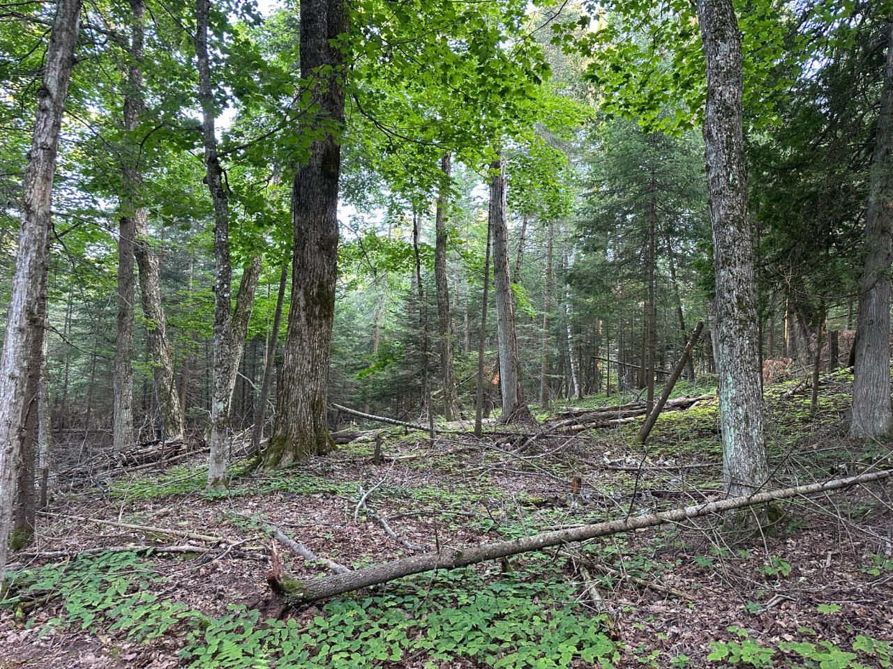 main property photo 20