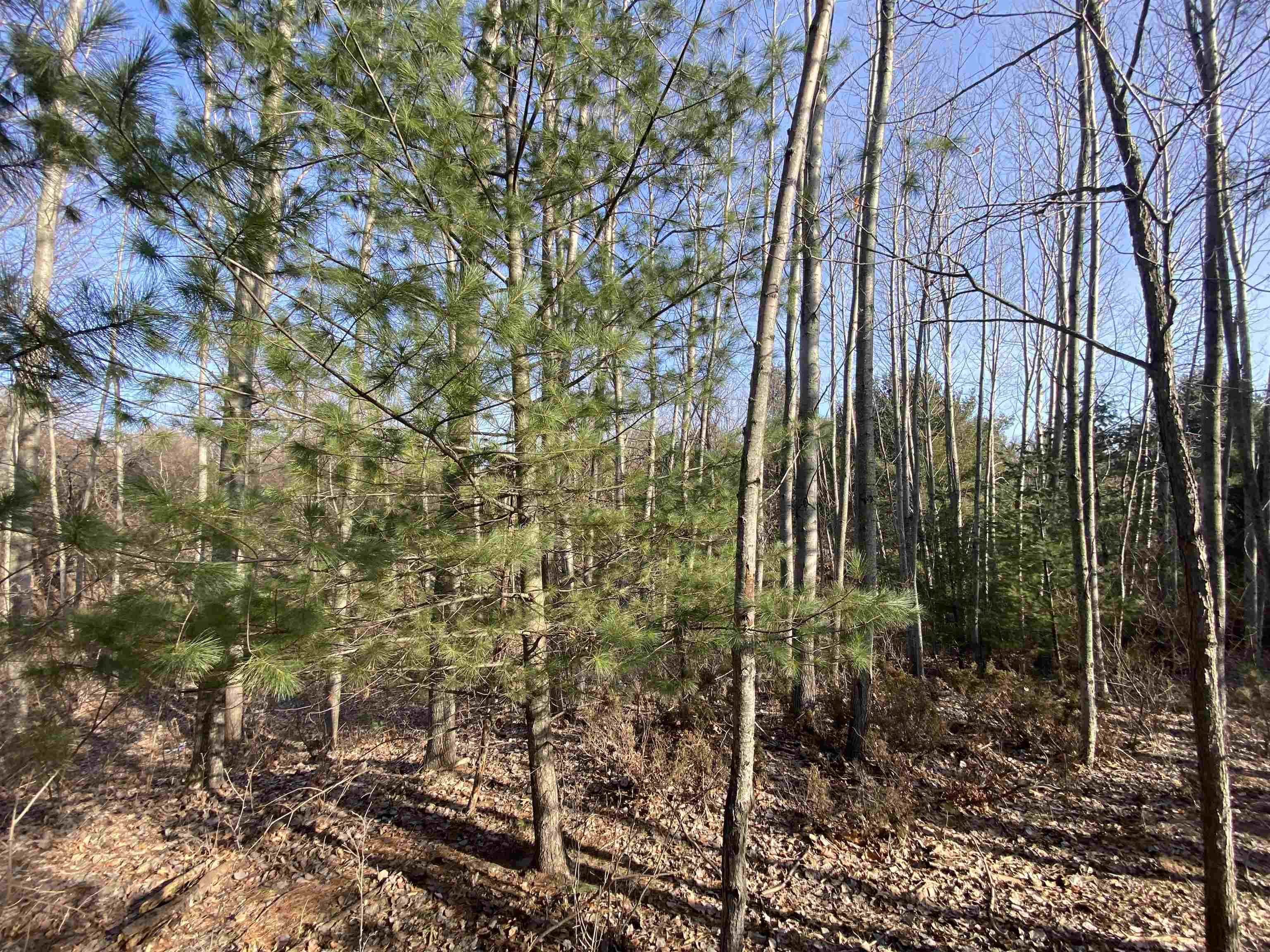 main property photo 7