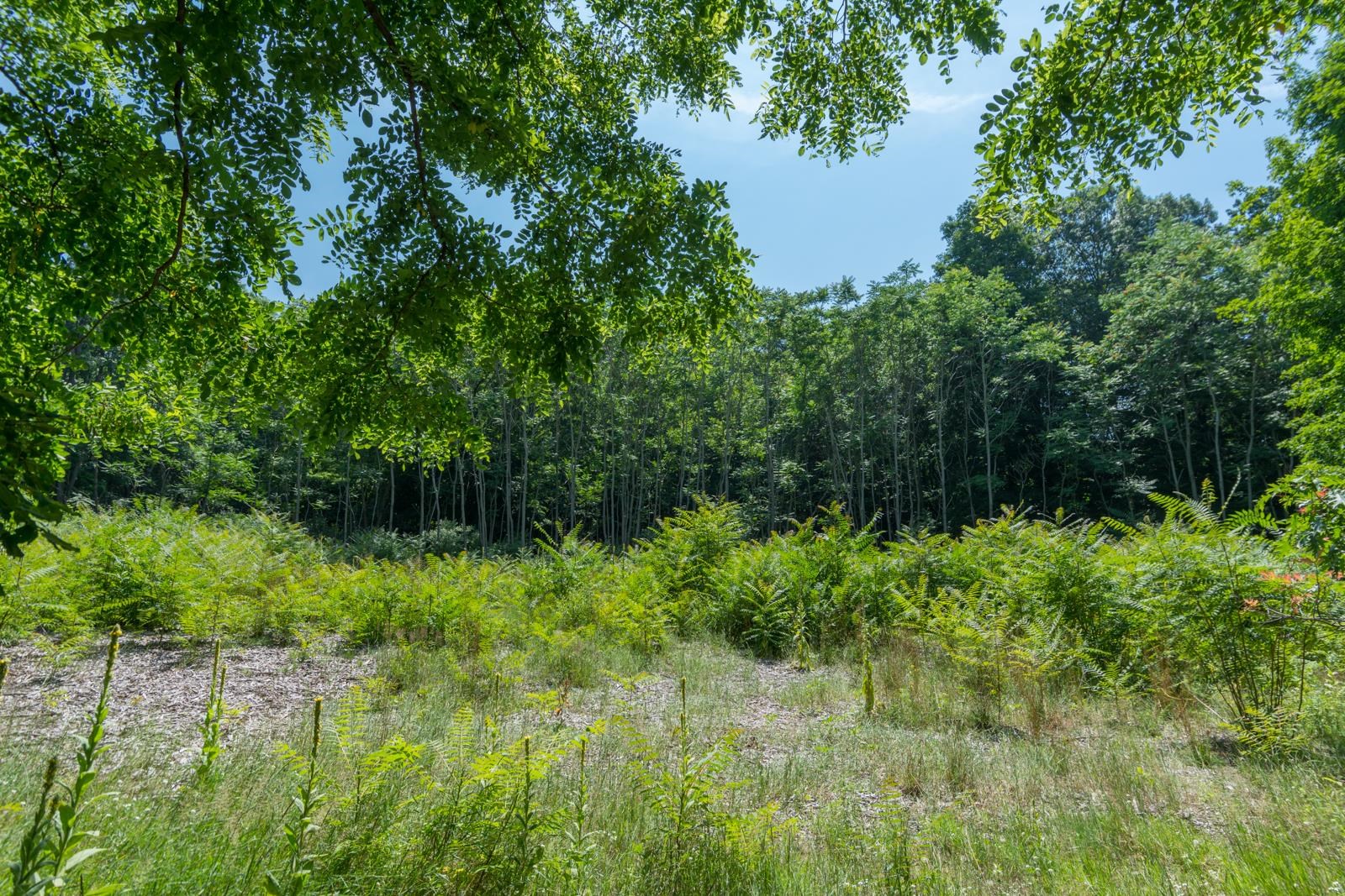 main property photo 74