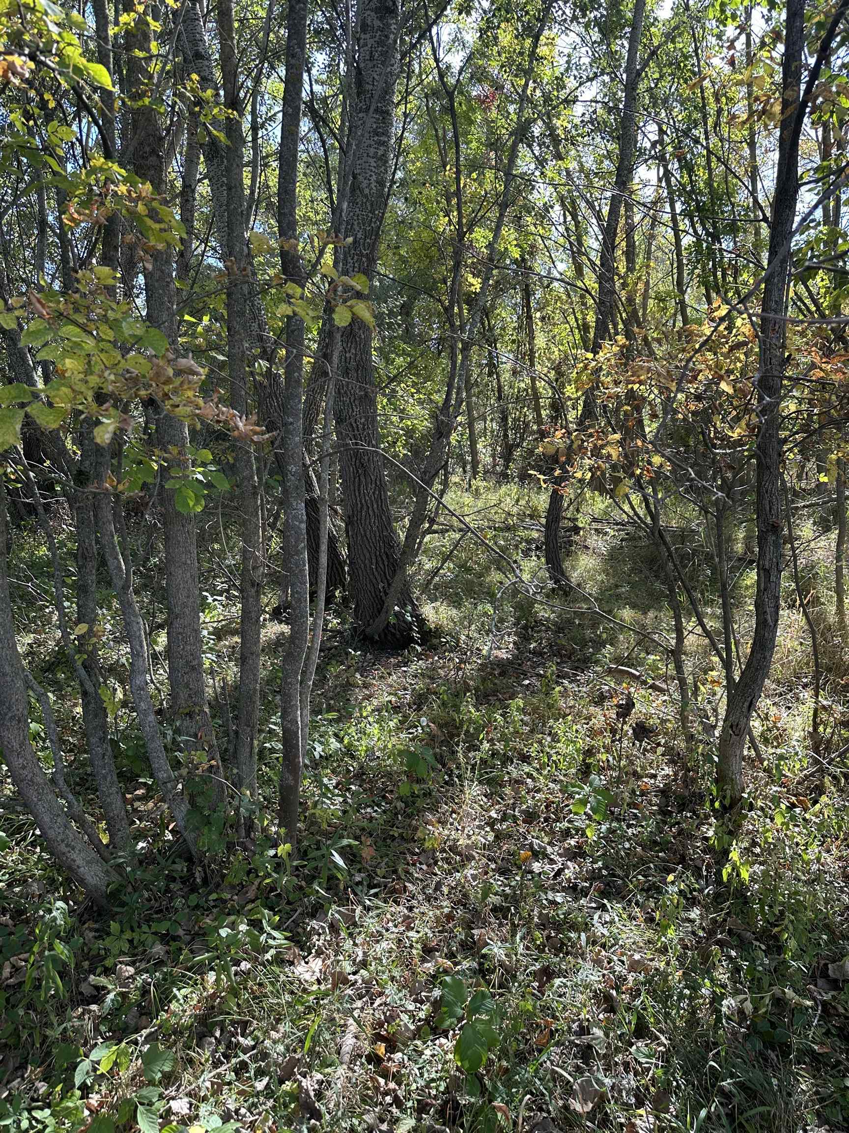 main property photo 8