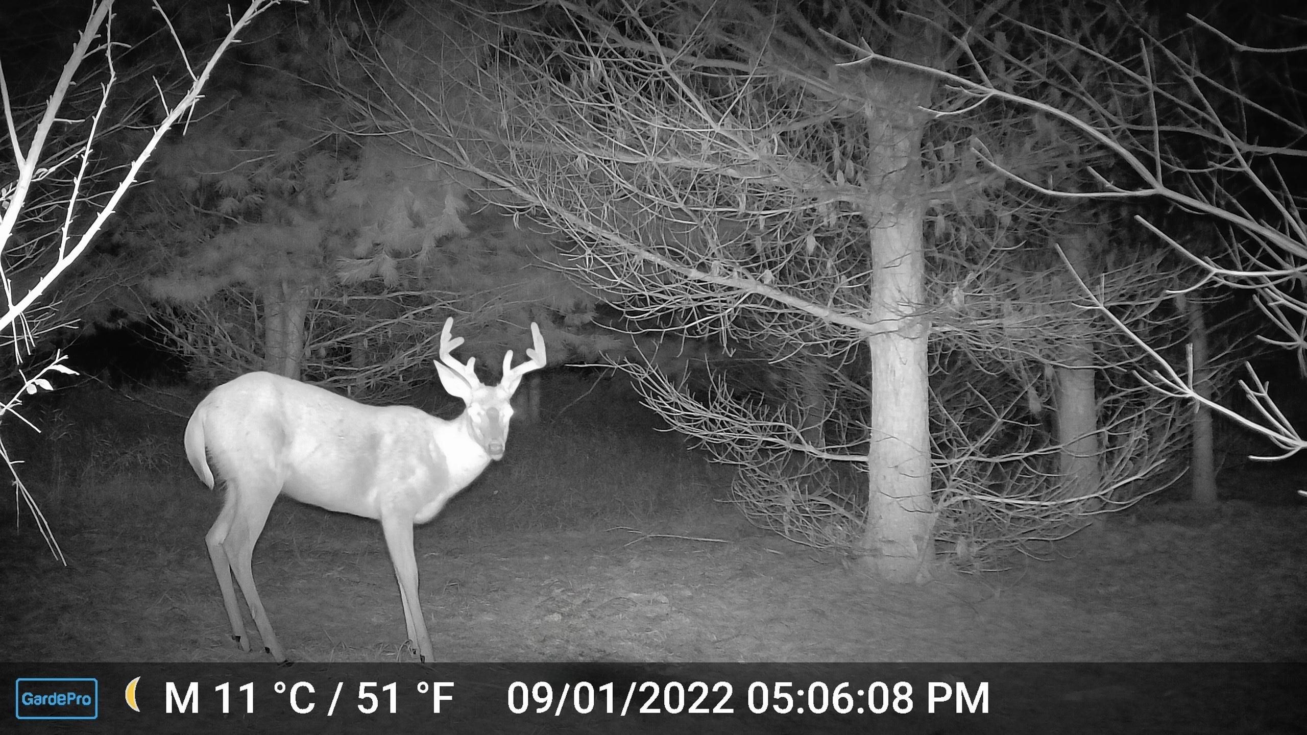 main property photo 74