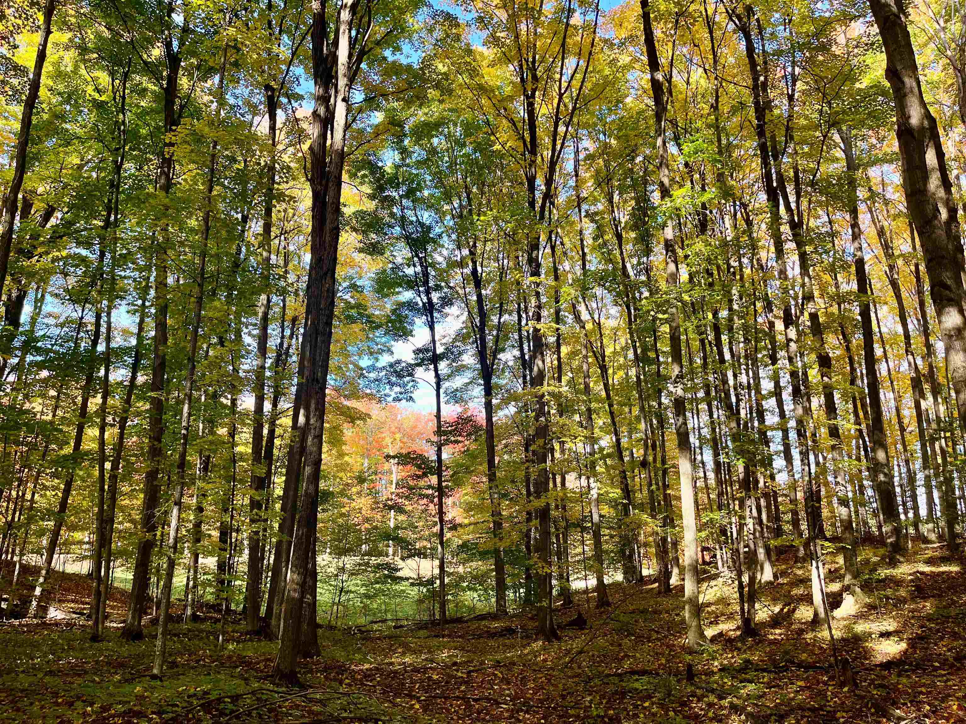 main property photo 6