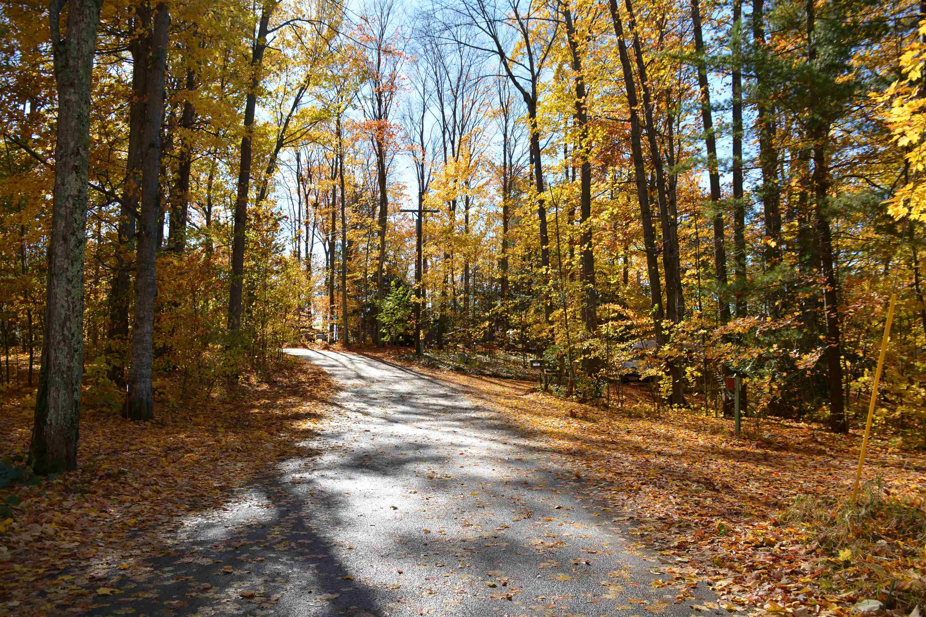 main property photo 66