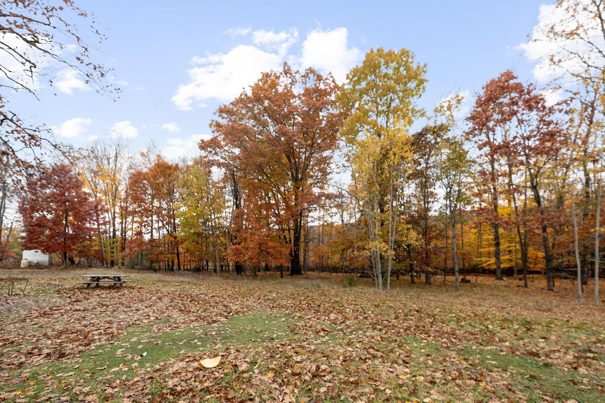 main property photo 91