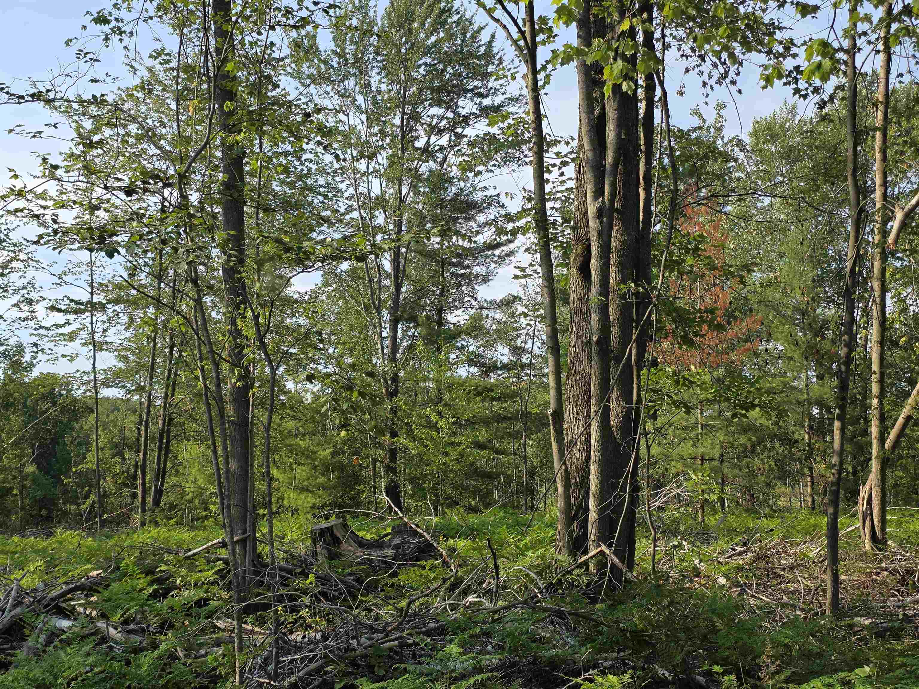 main property photo 35