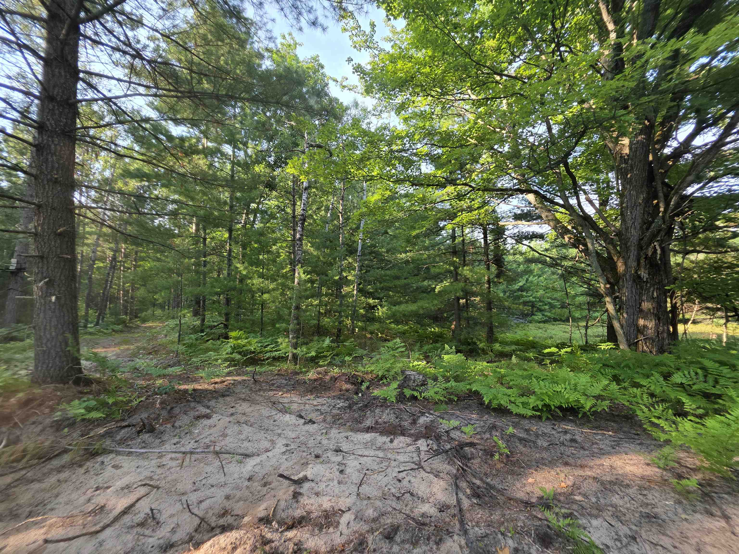 main property photo 47