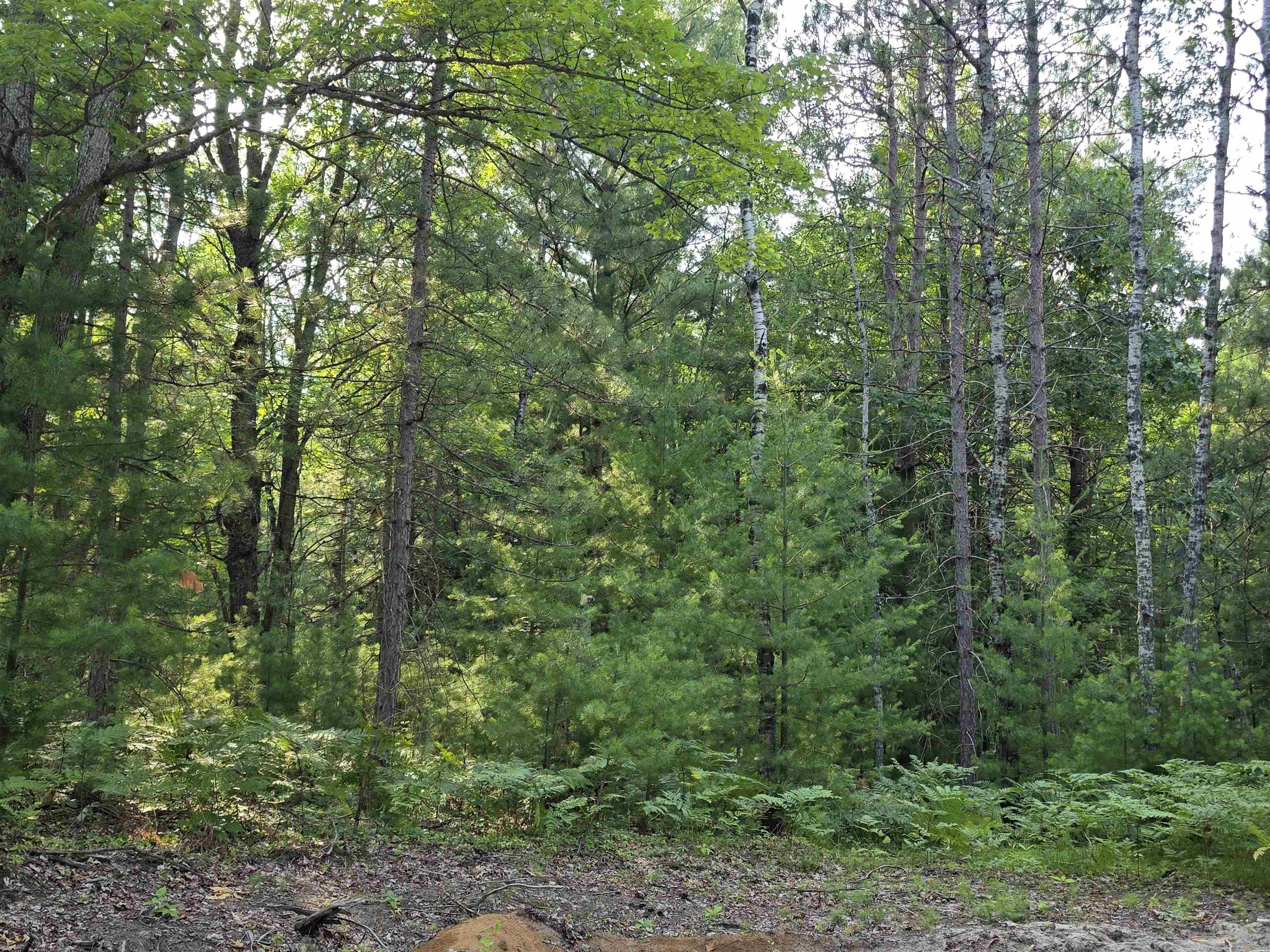 main property photo 48
