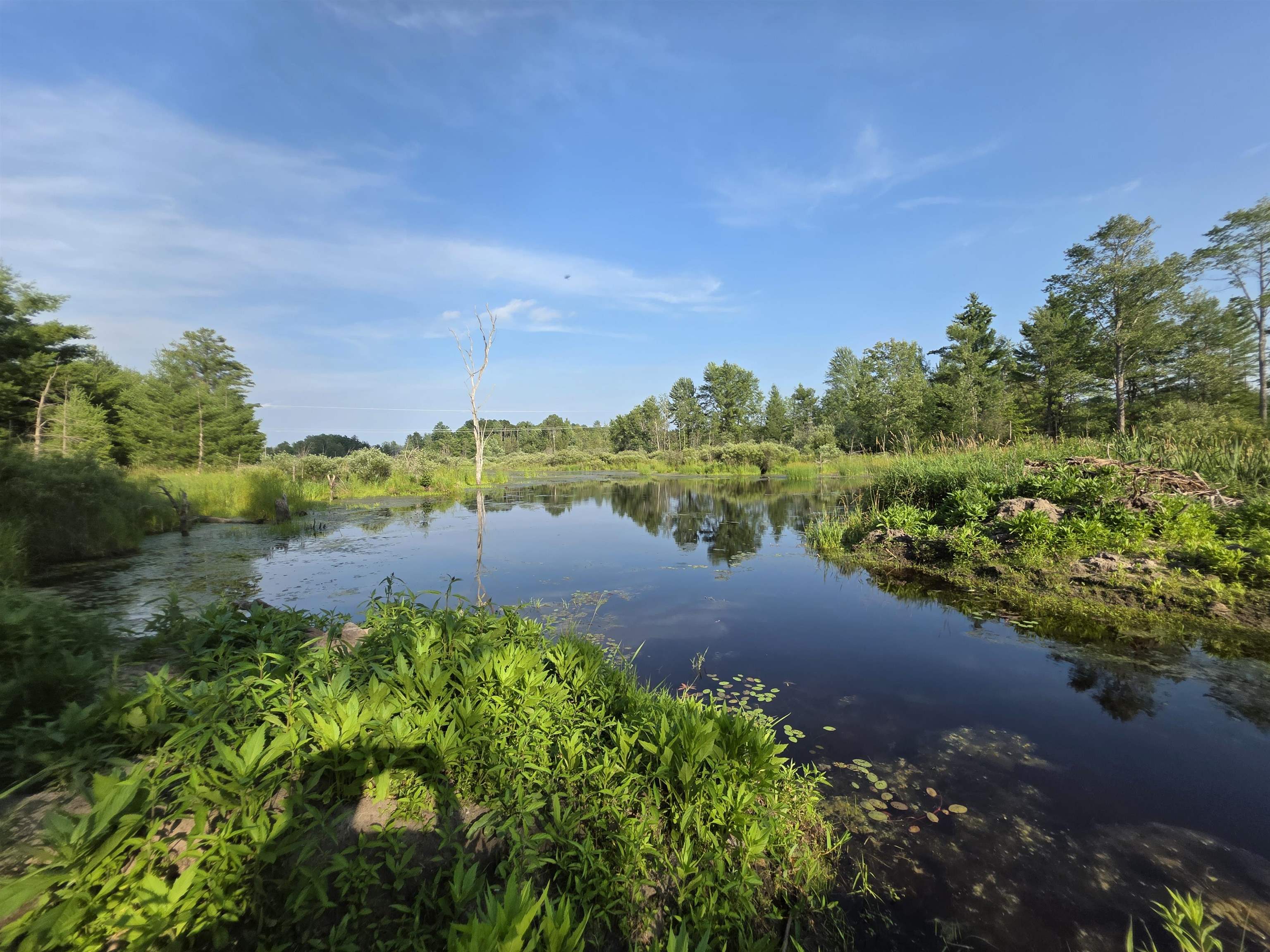 main property photo 52