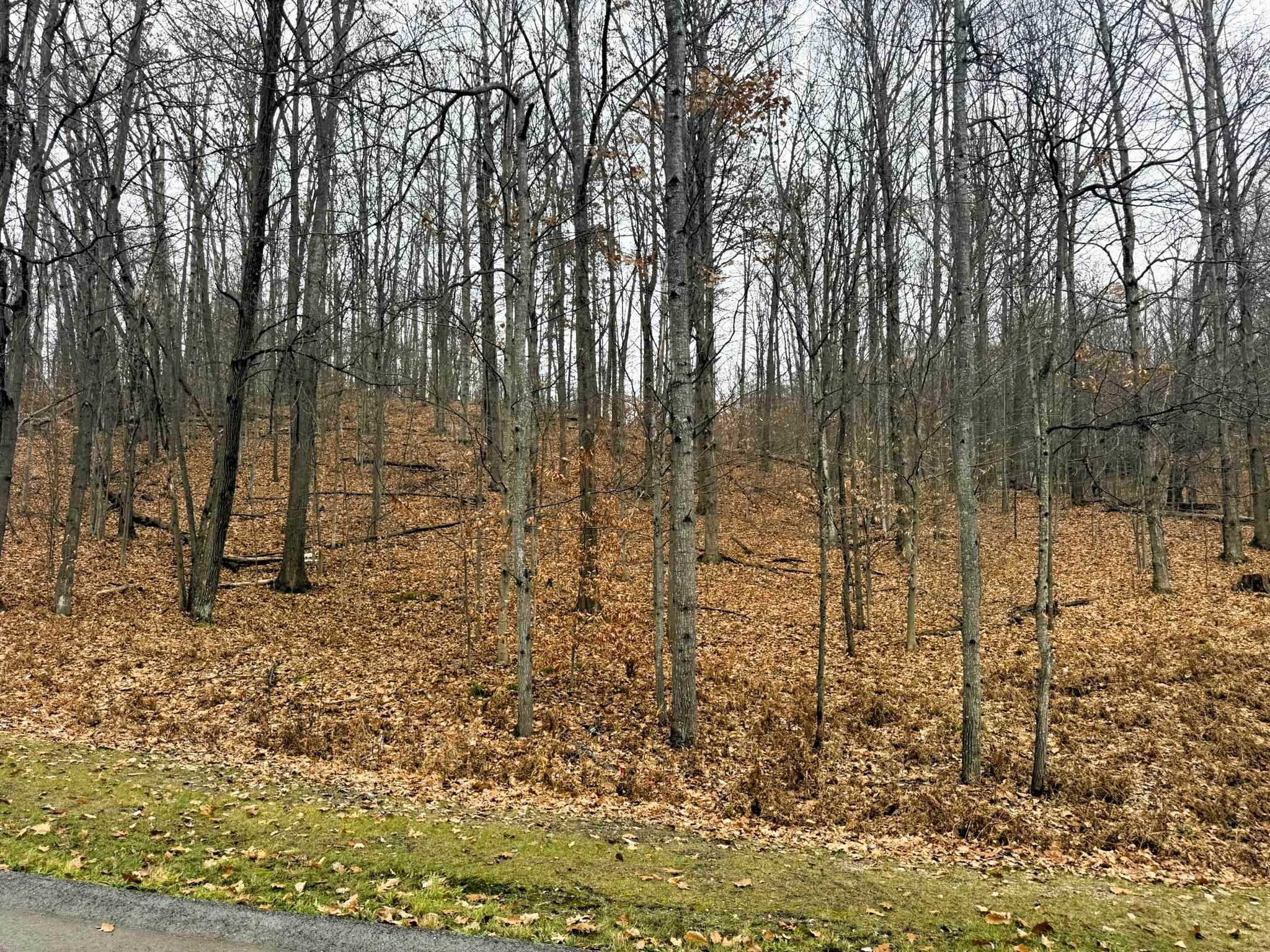 main property photo 7