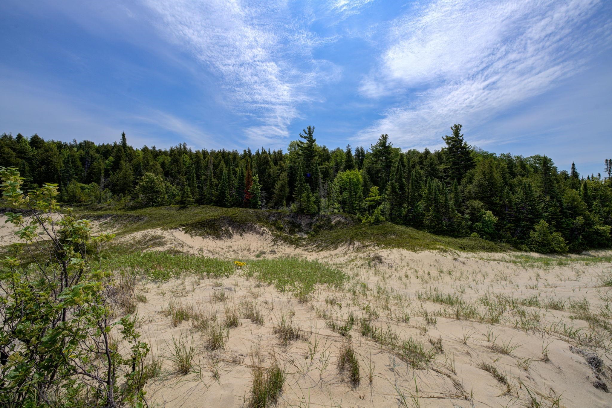 main property photo 65