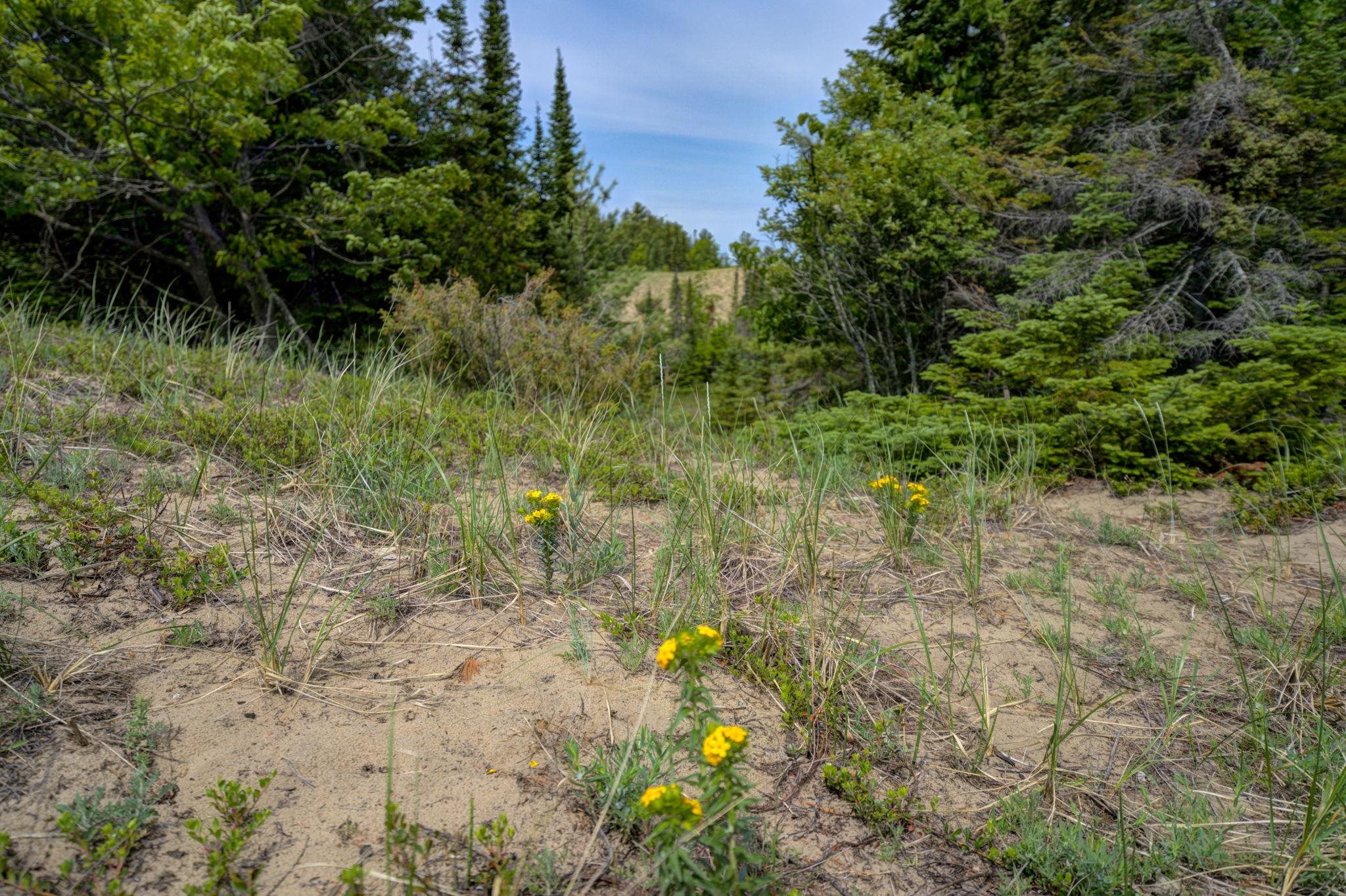 main property photo 74