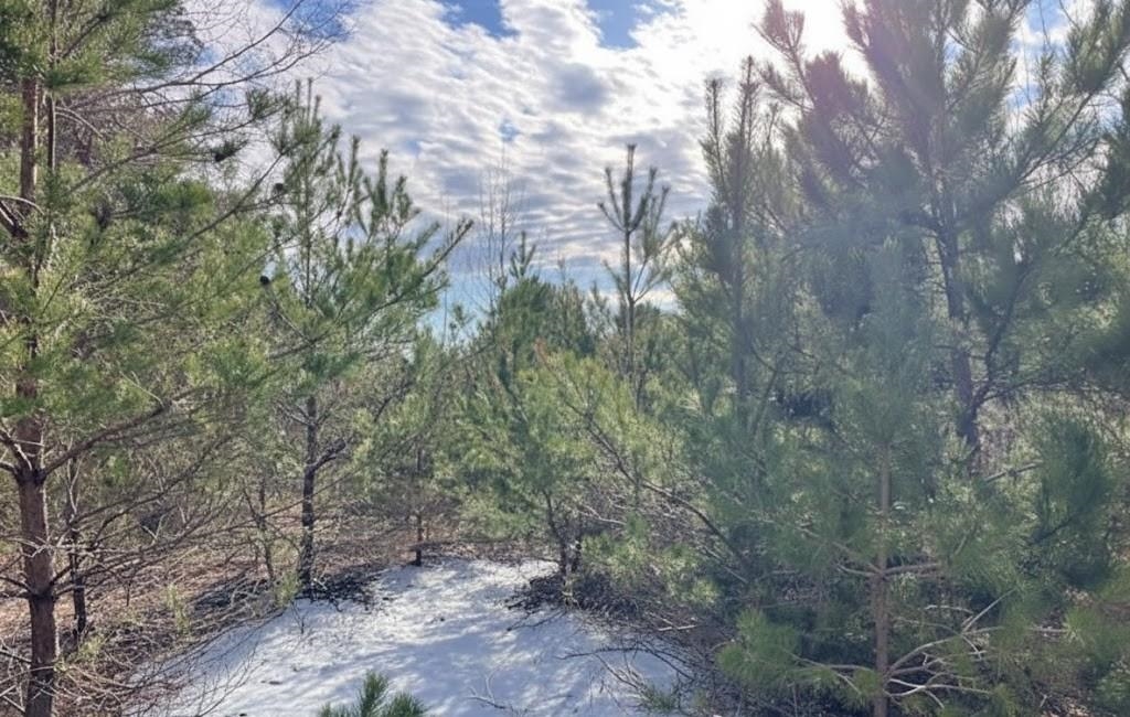 main property photo 10