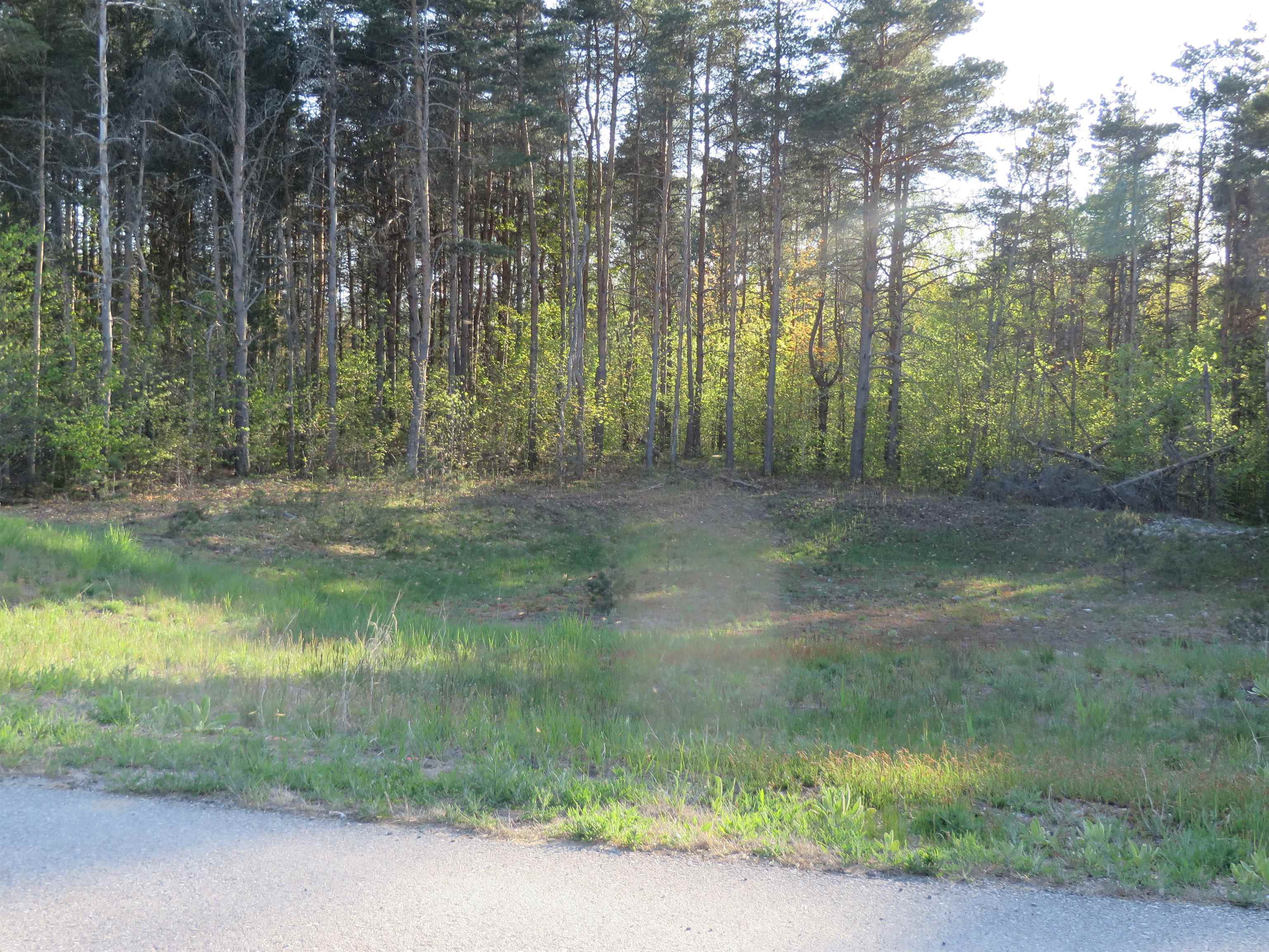 main property photo 8