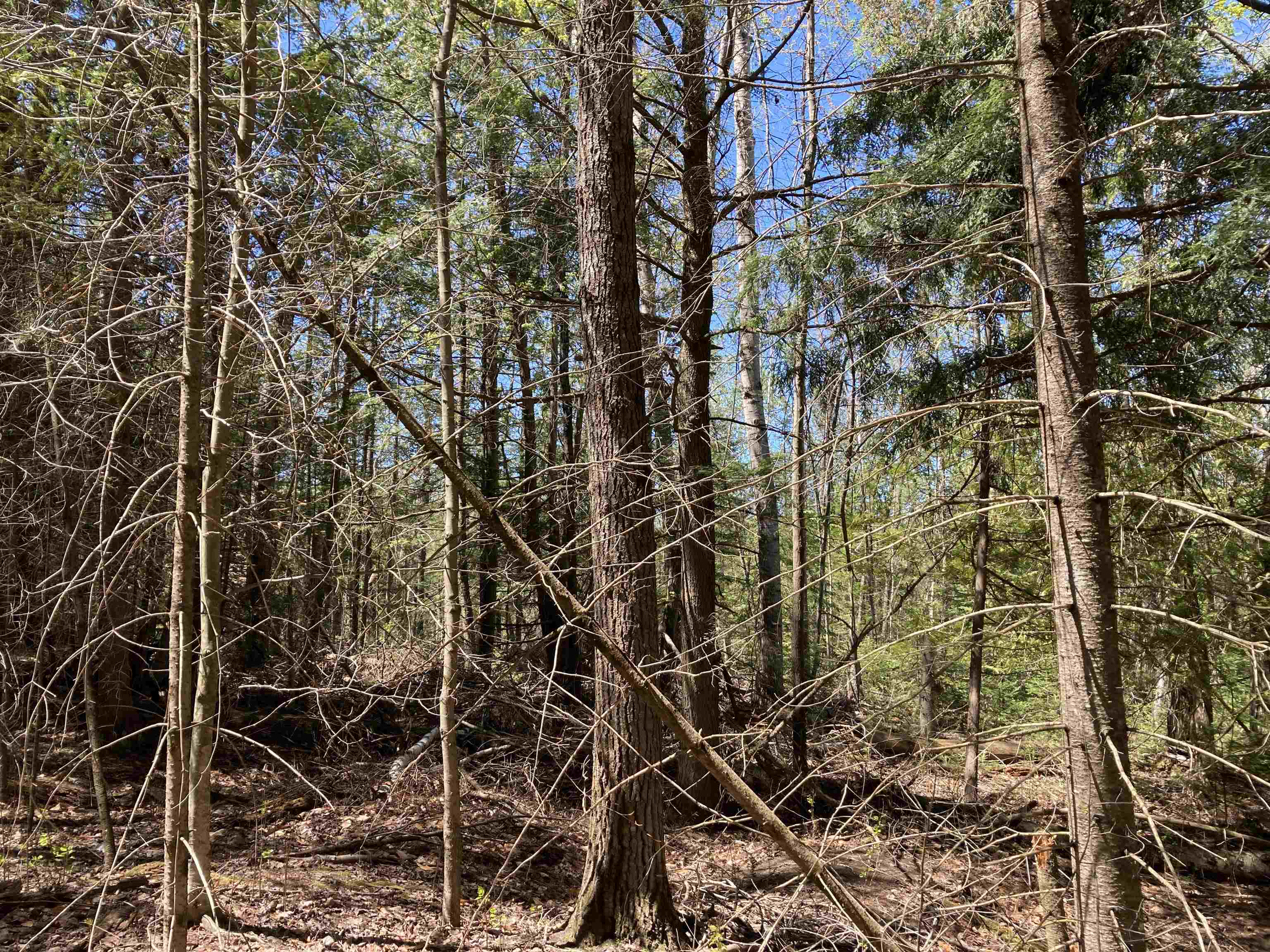 main property photo 21