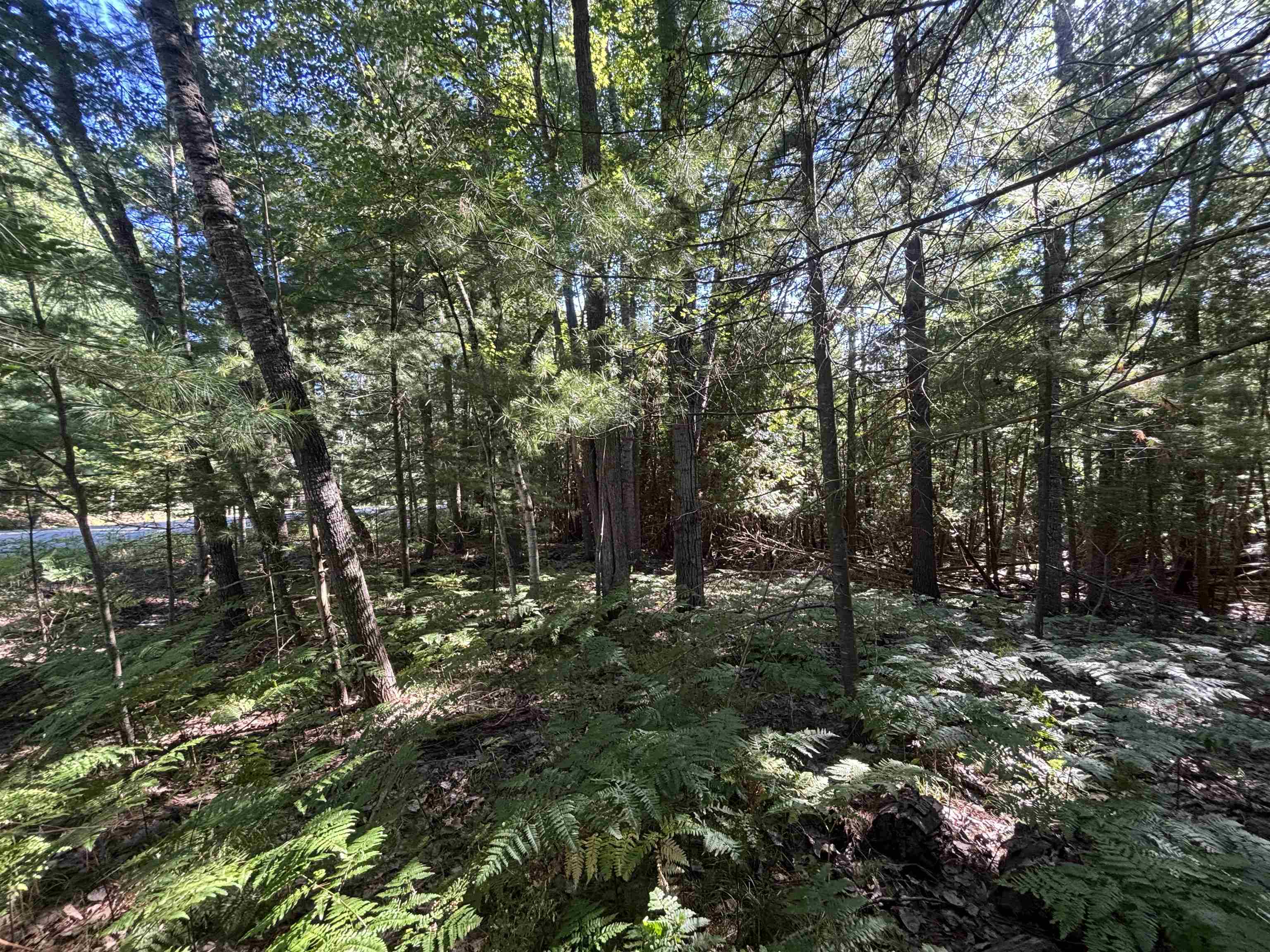 main property photo 18