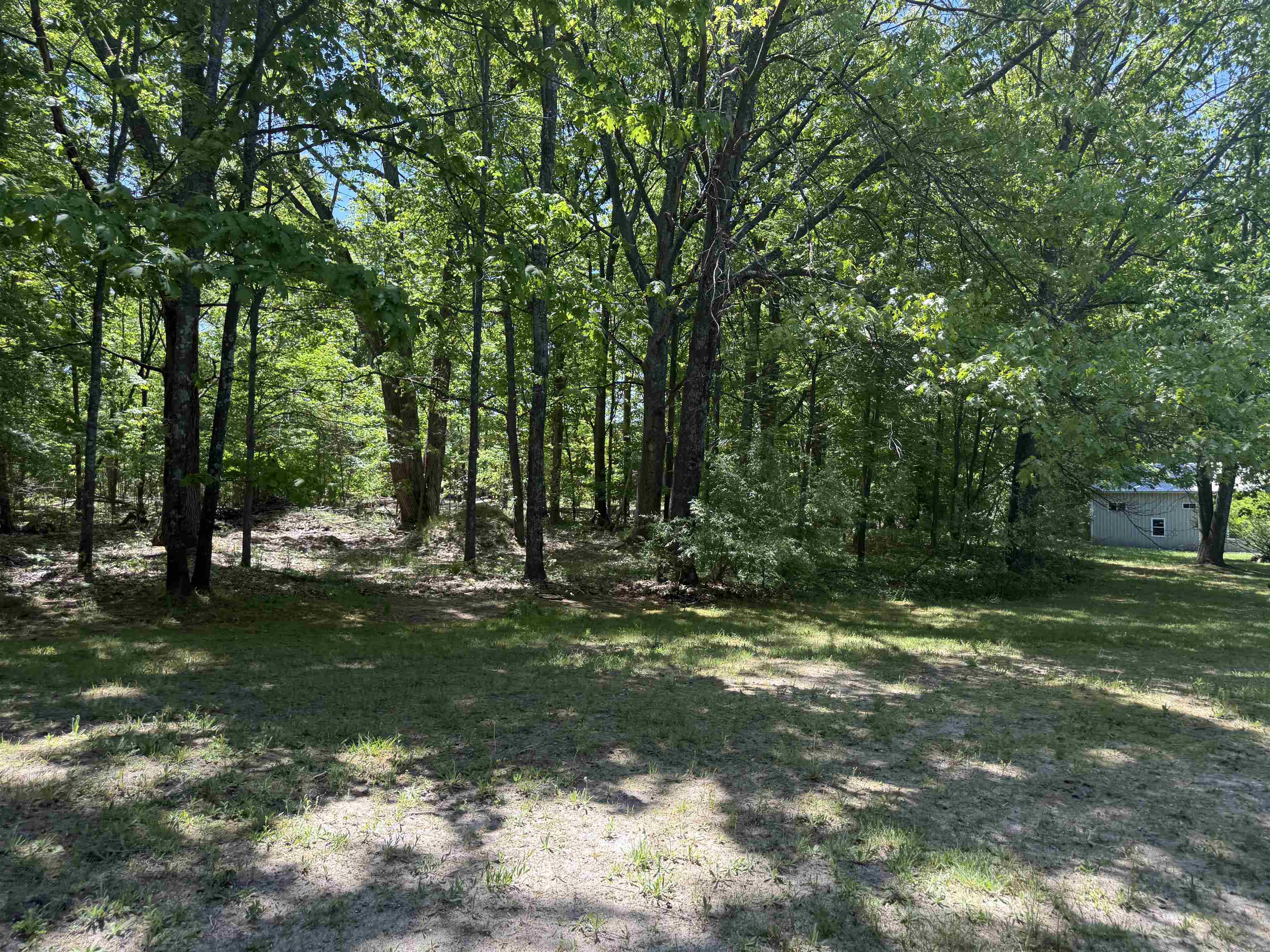 main property photo 61