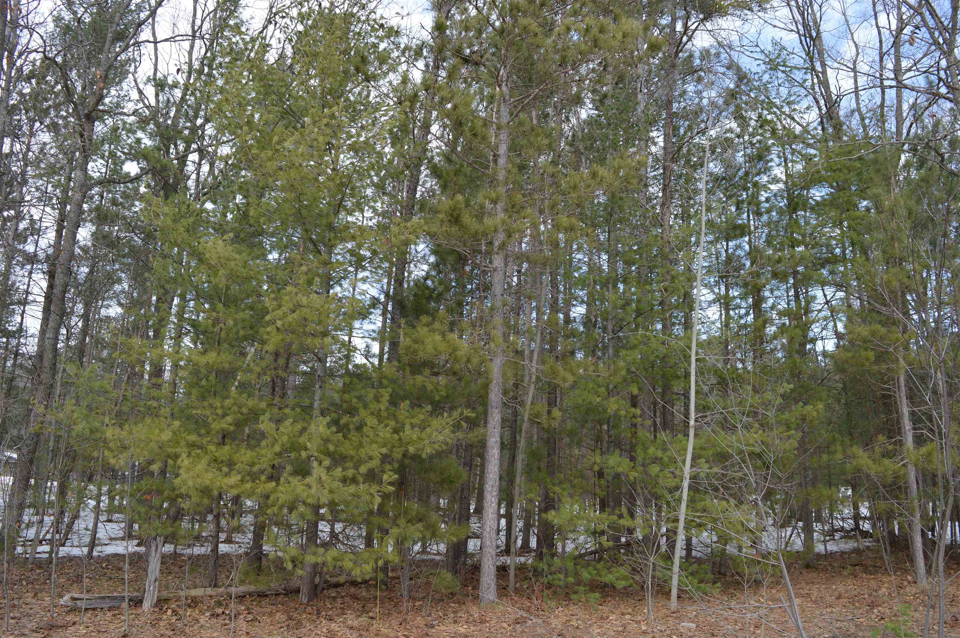 main property photo 14