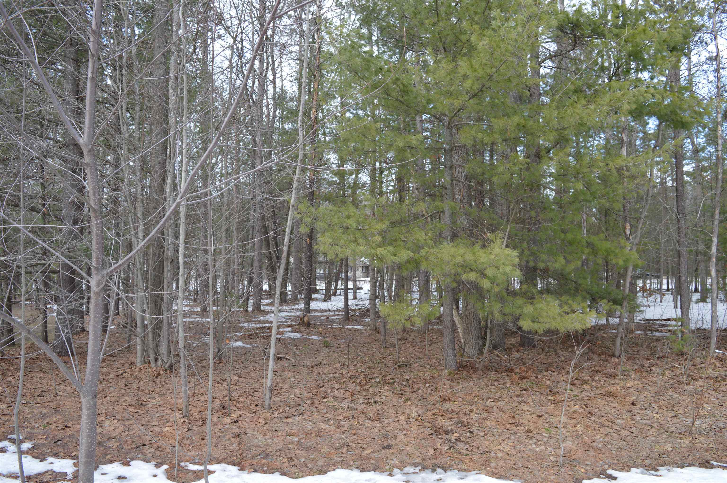 main property photo 13