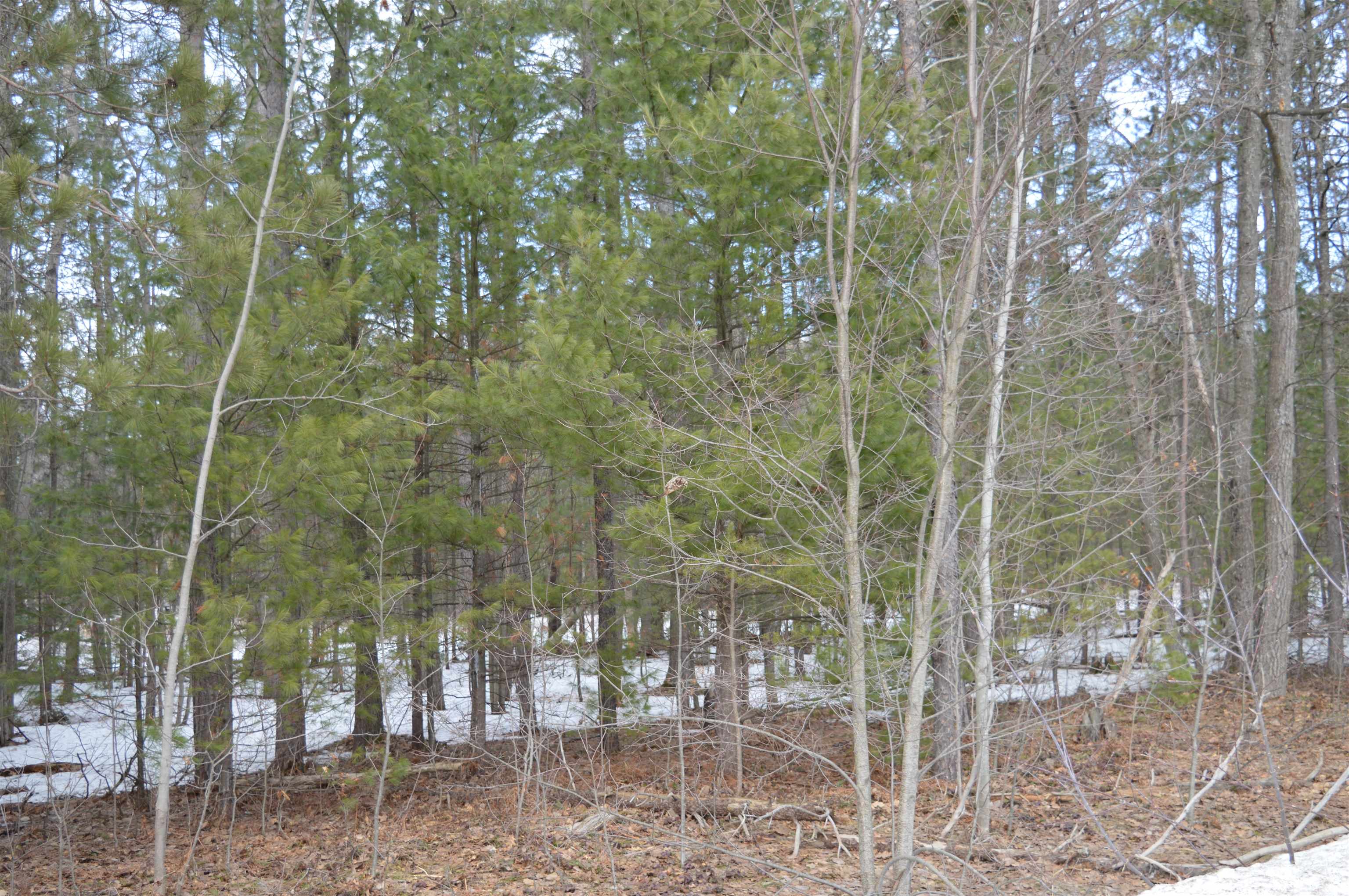 main property photo 14