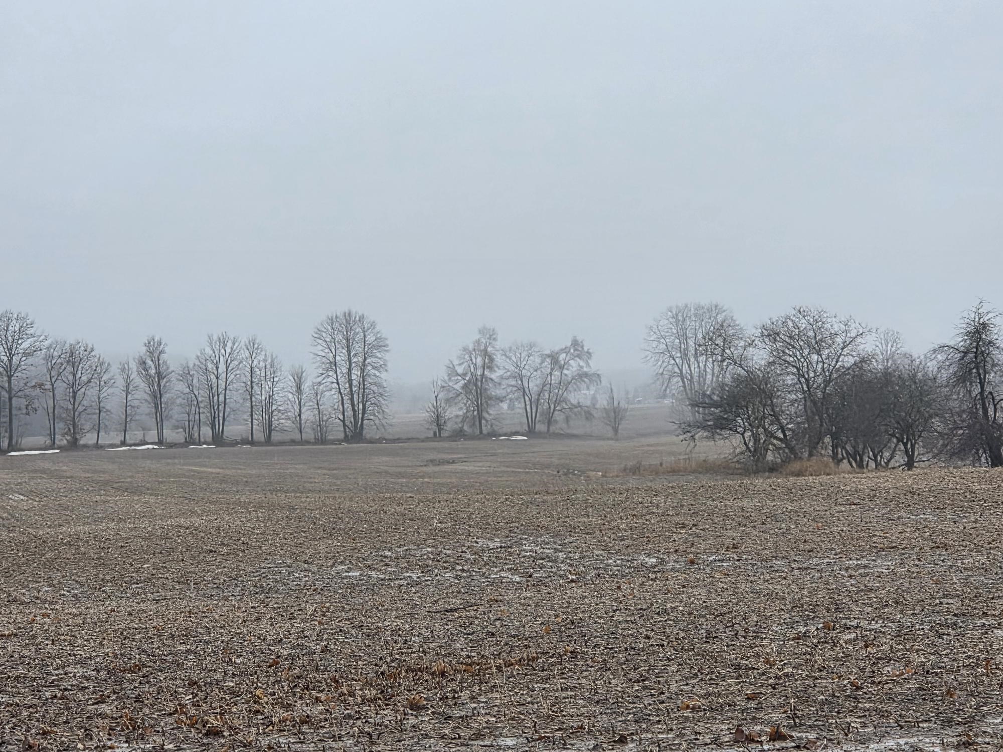 property viewer photo 6