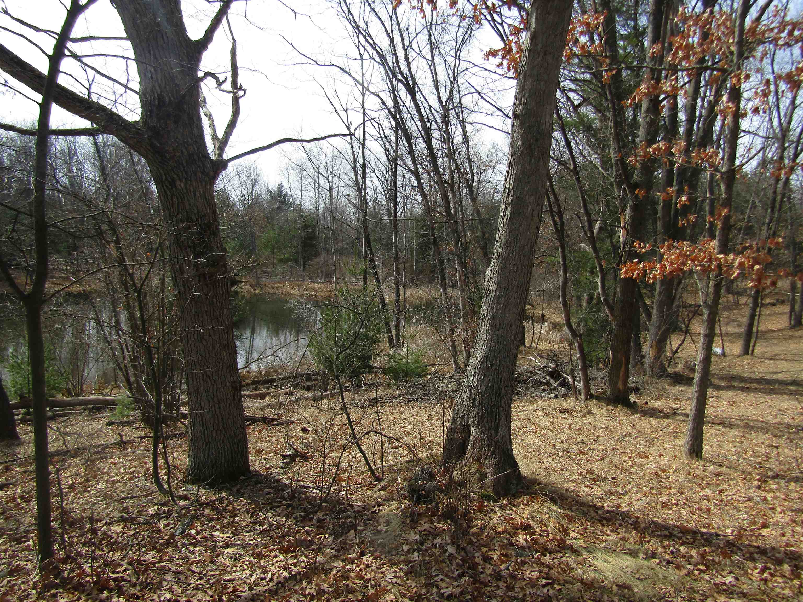 main property photo 0