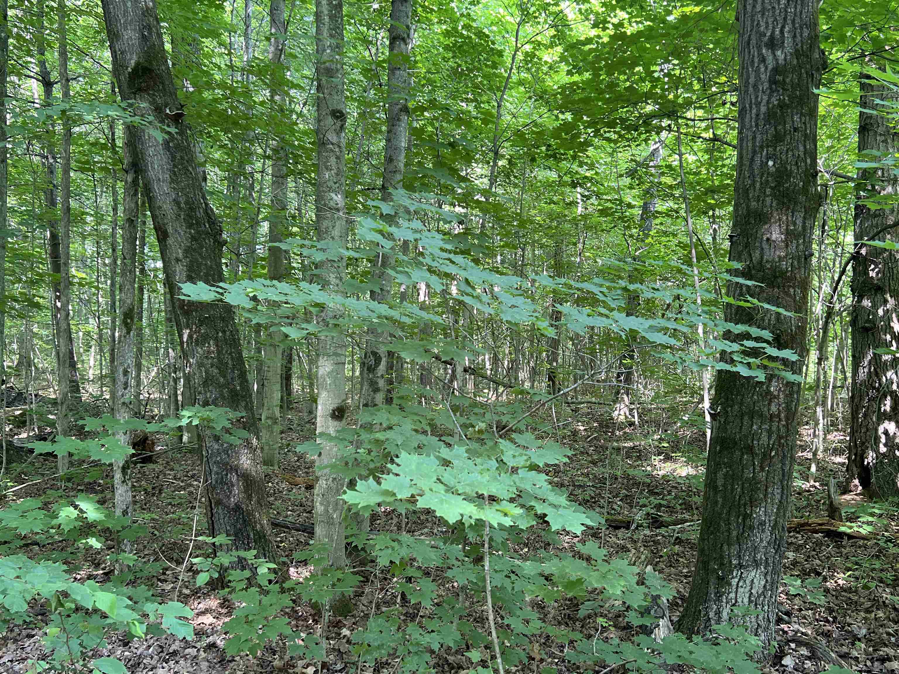 main property photo 67