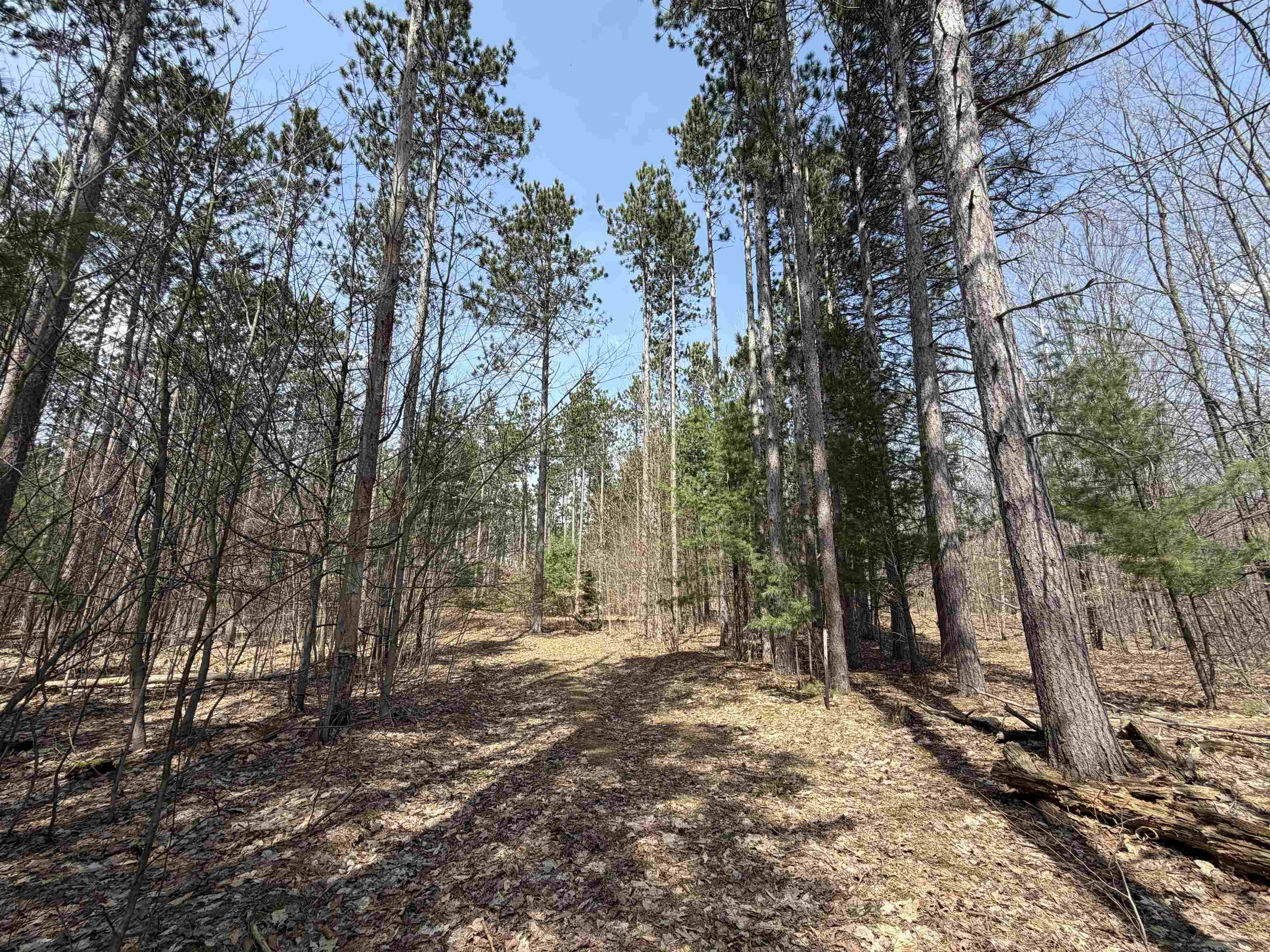 main property photo 18