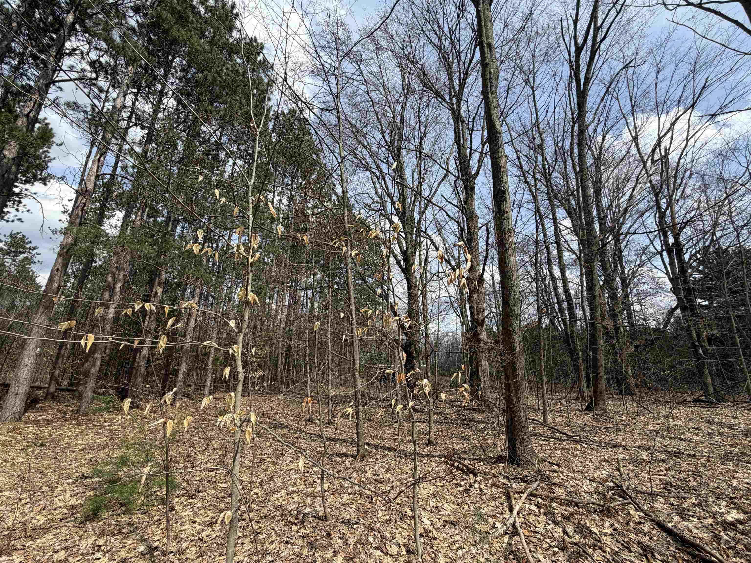 main property photo 39