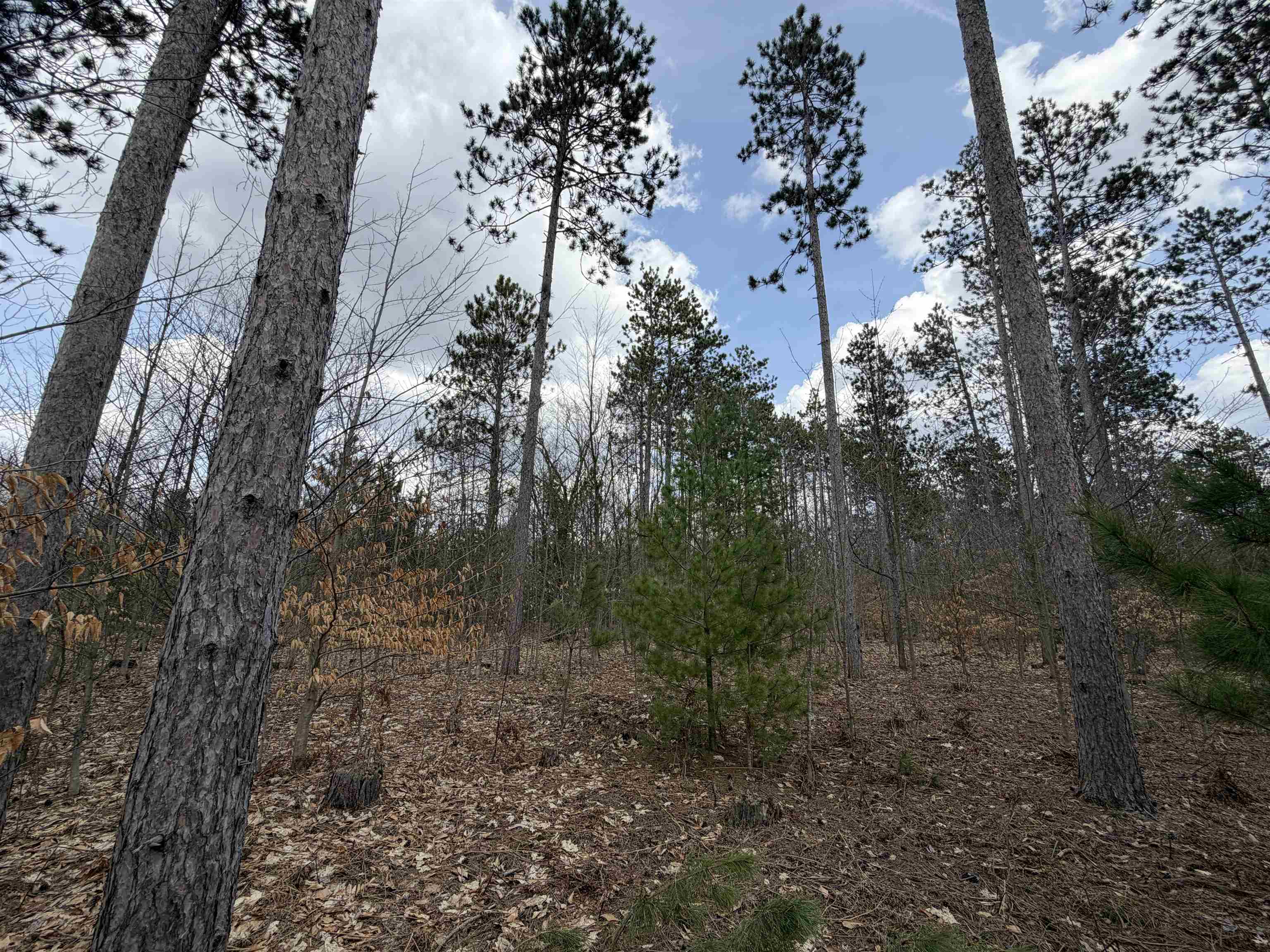 main property photo 19