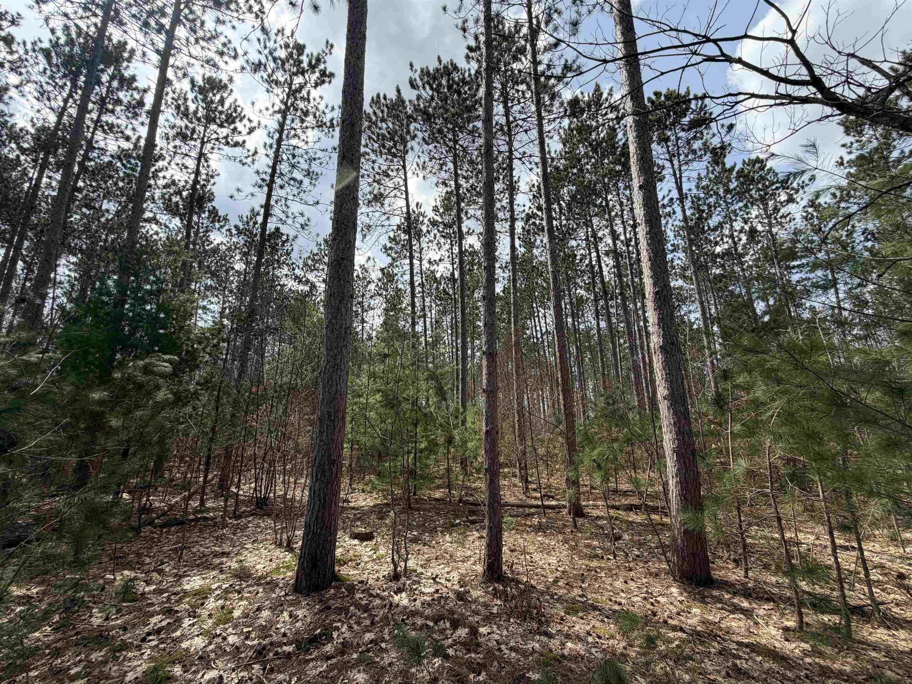 main property photo 21