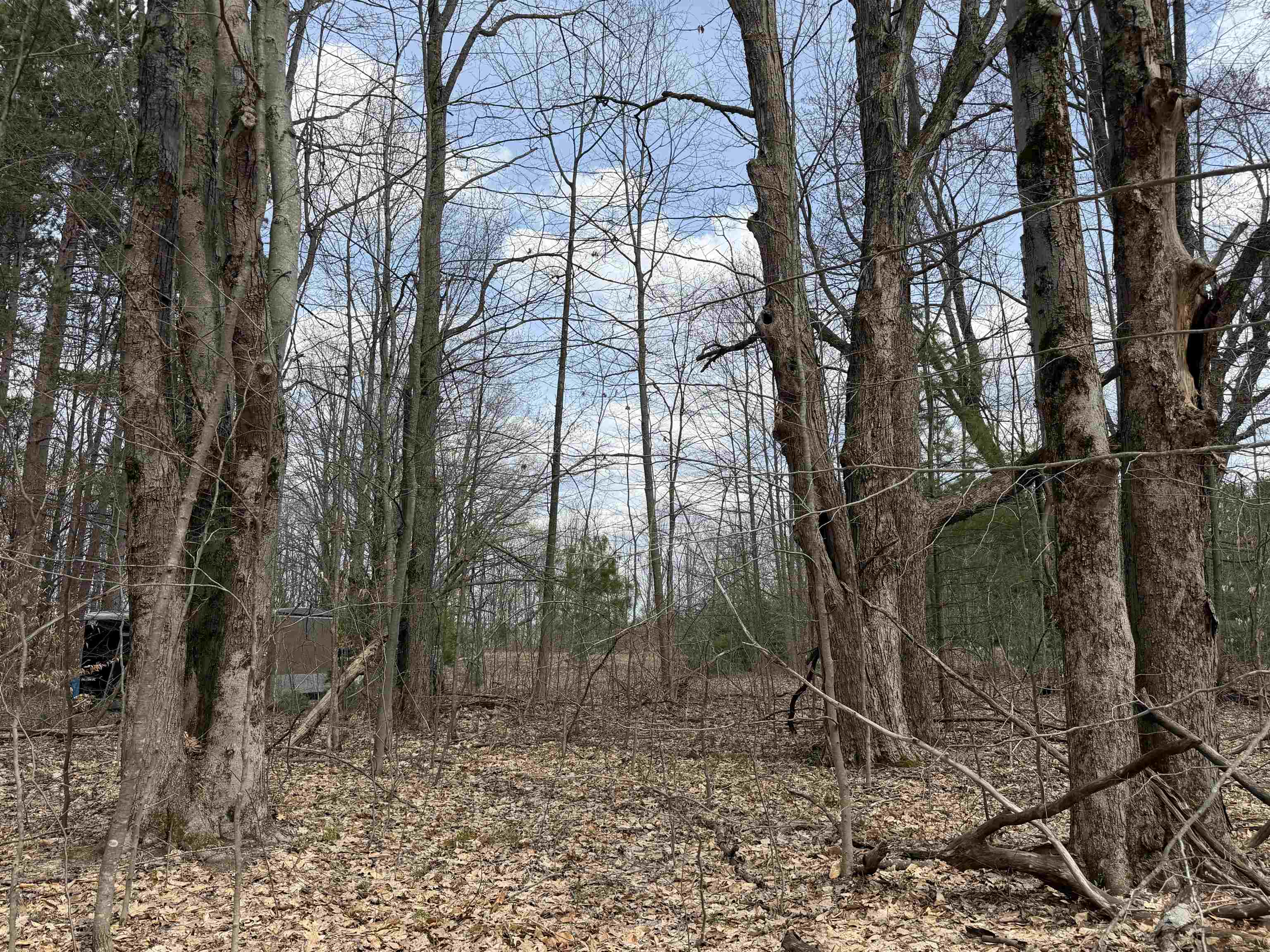 main property photo 25
