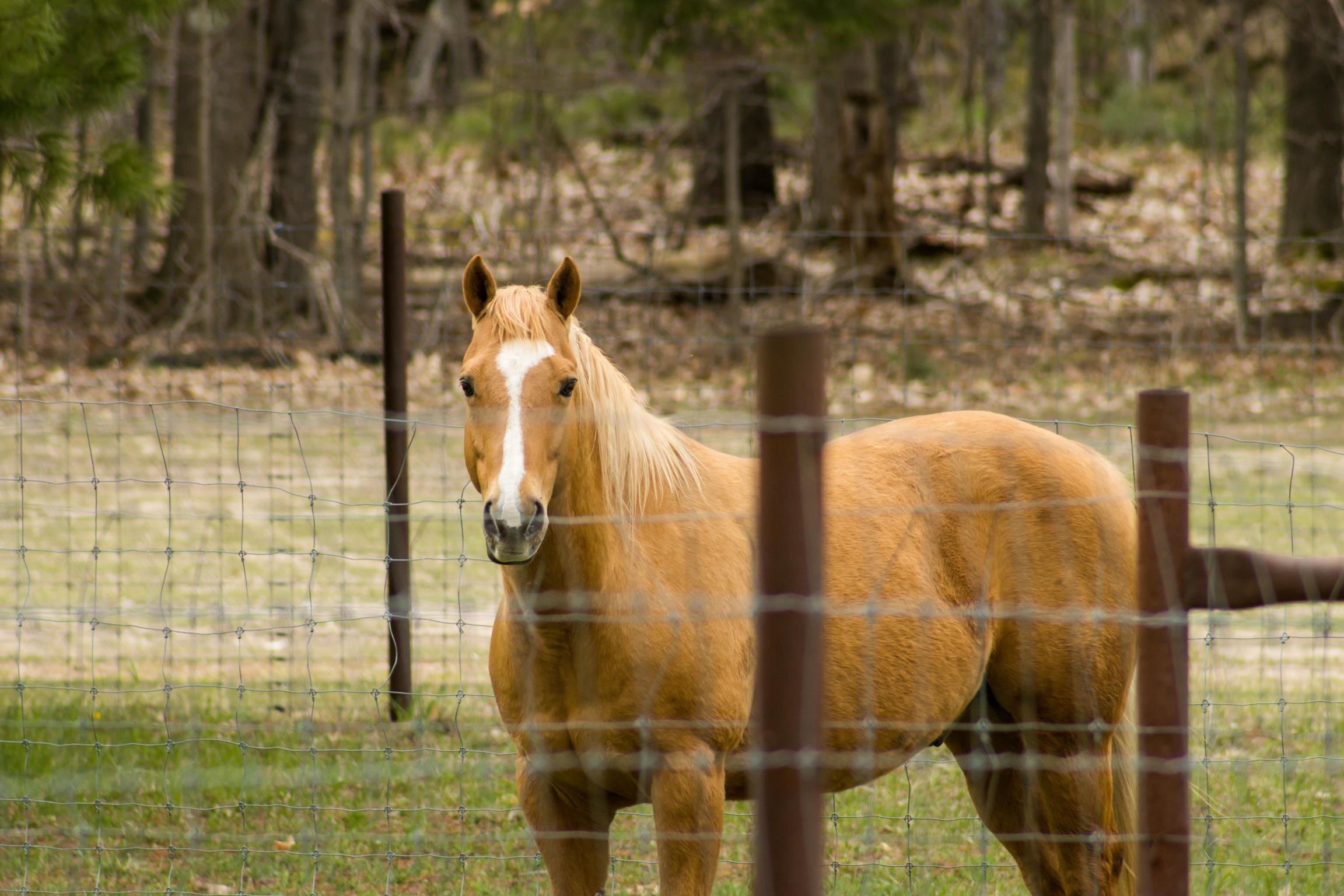 main property photo 47