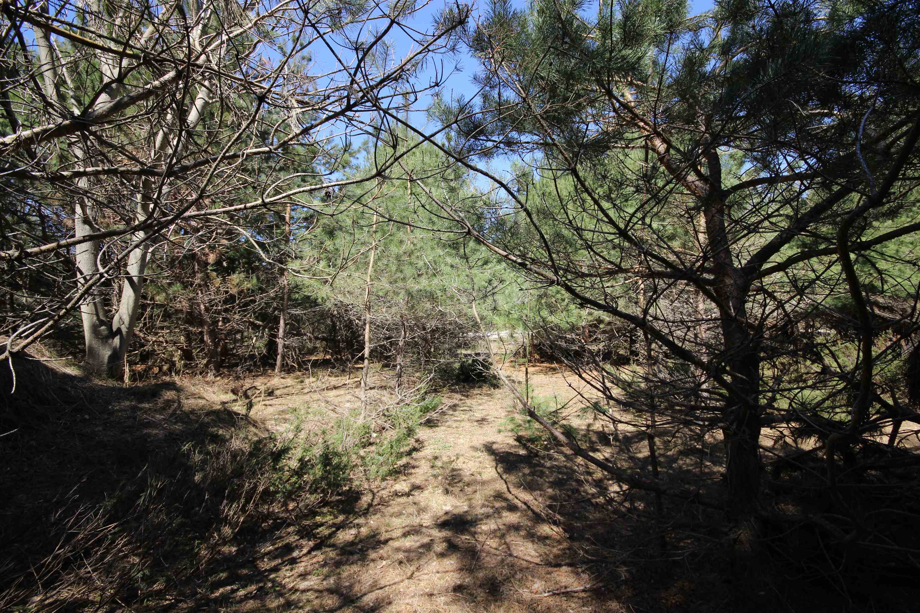 main property photo 9