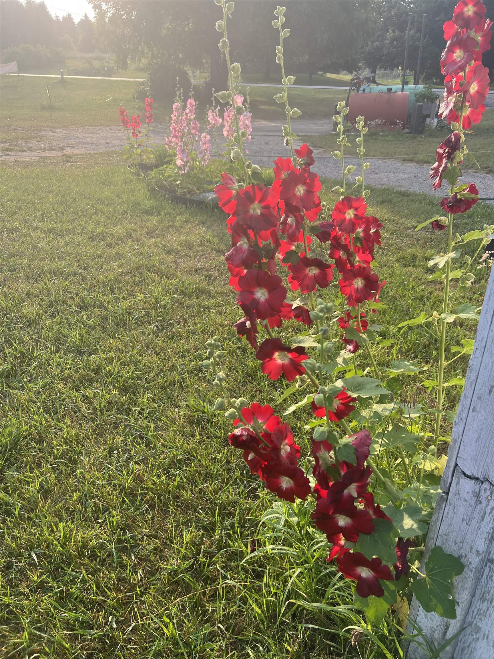 main property photo 68