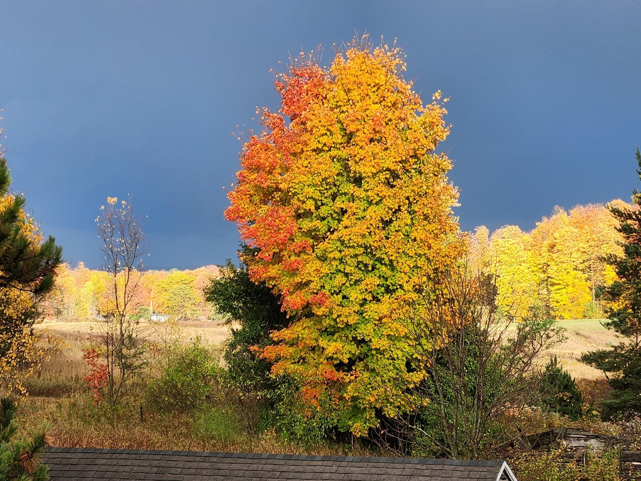 main property photo 96