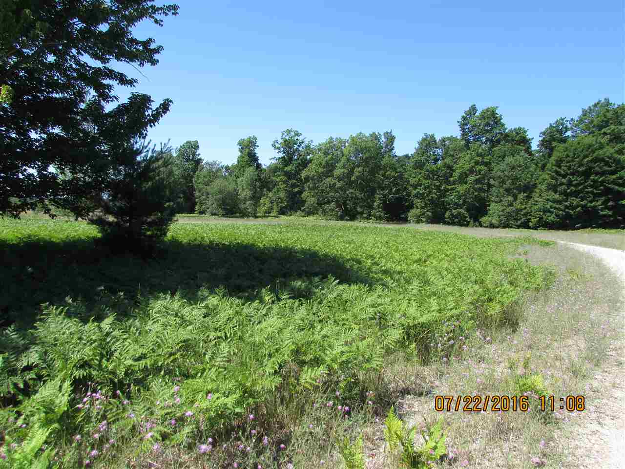 main property photo 10