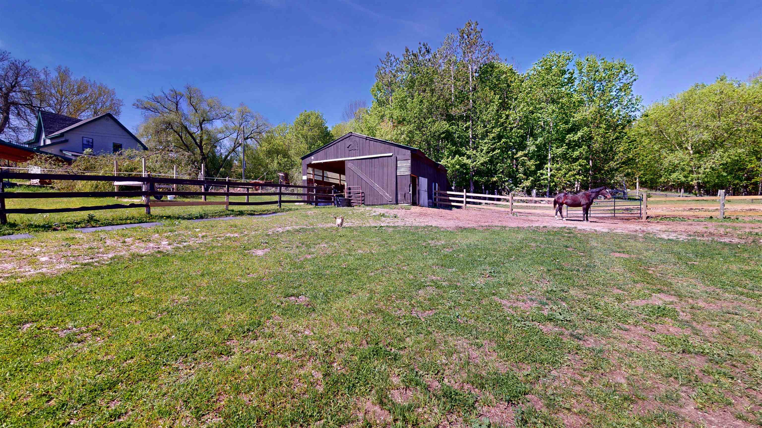 main property photo 14