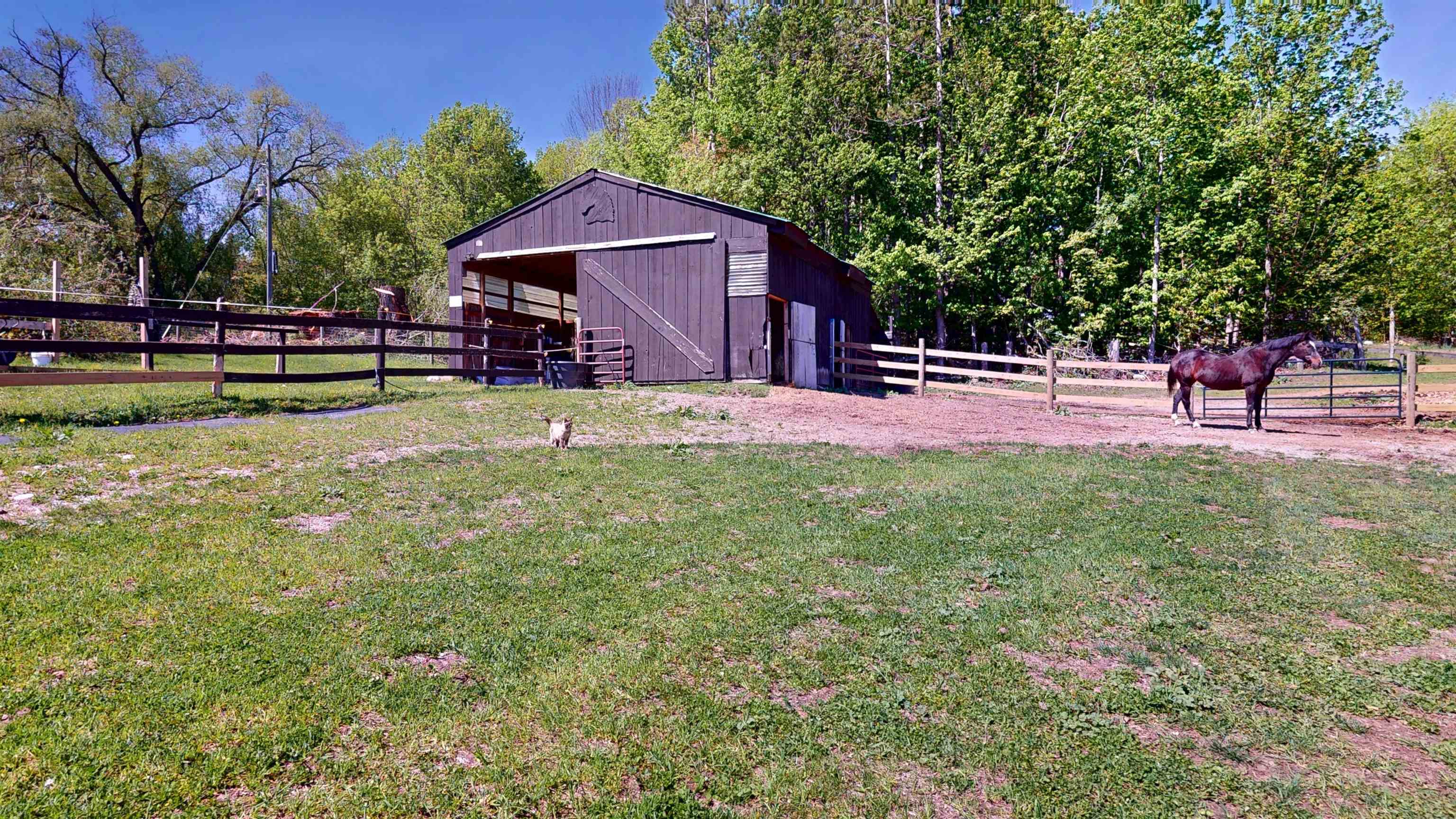 main property photo 15