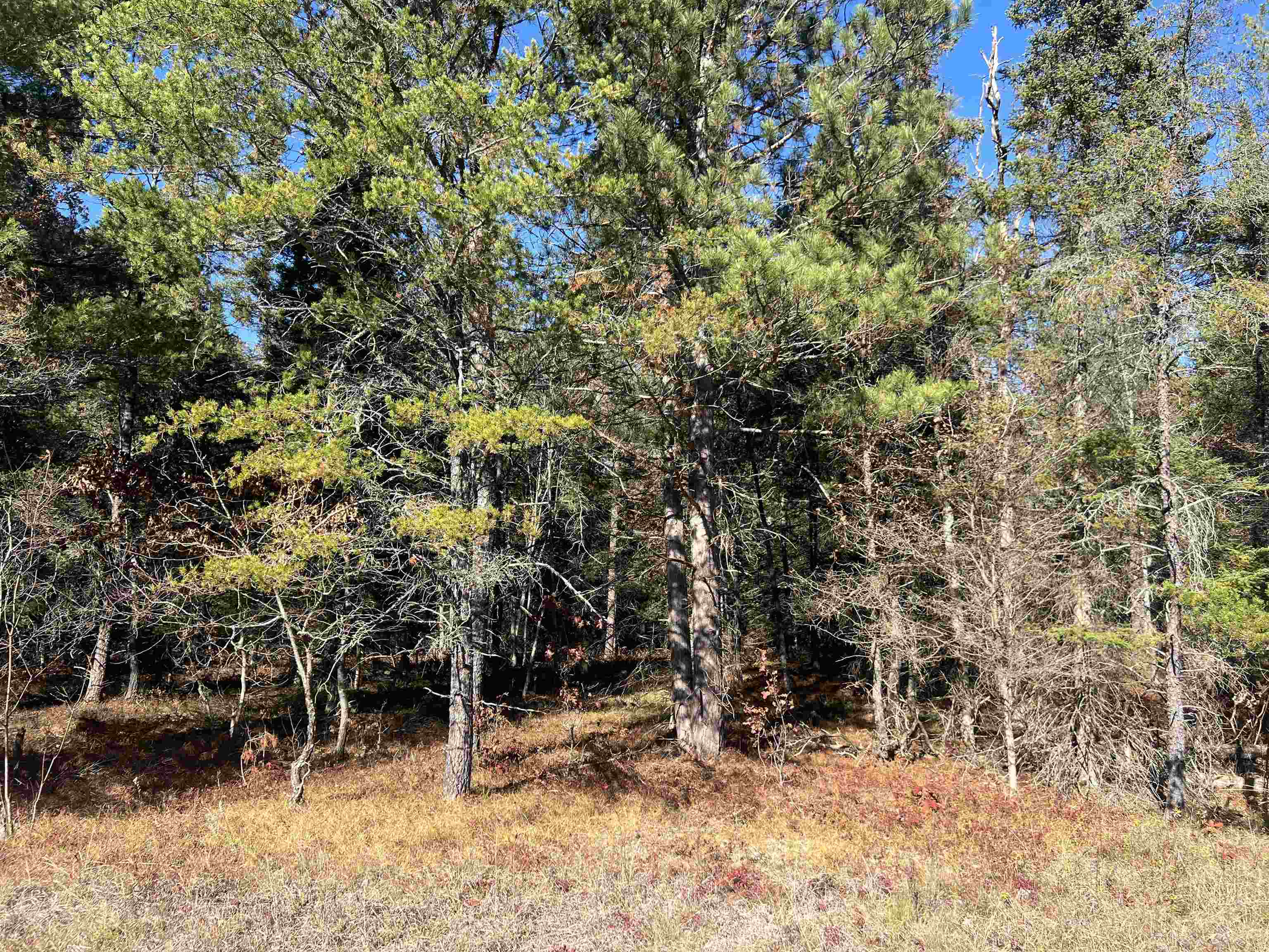 main property photo 0