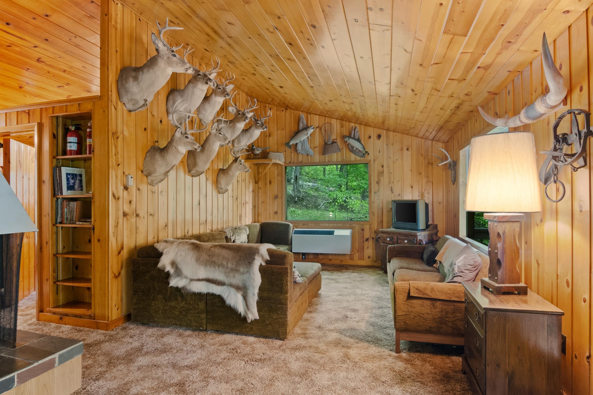 main property photo 76