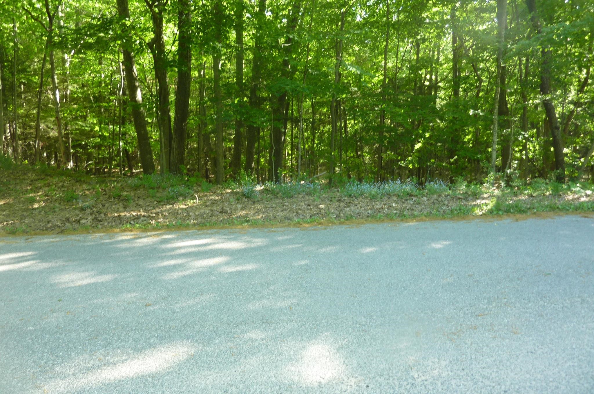main property photo 11