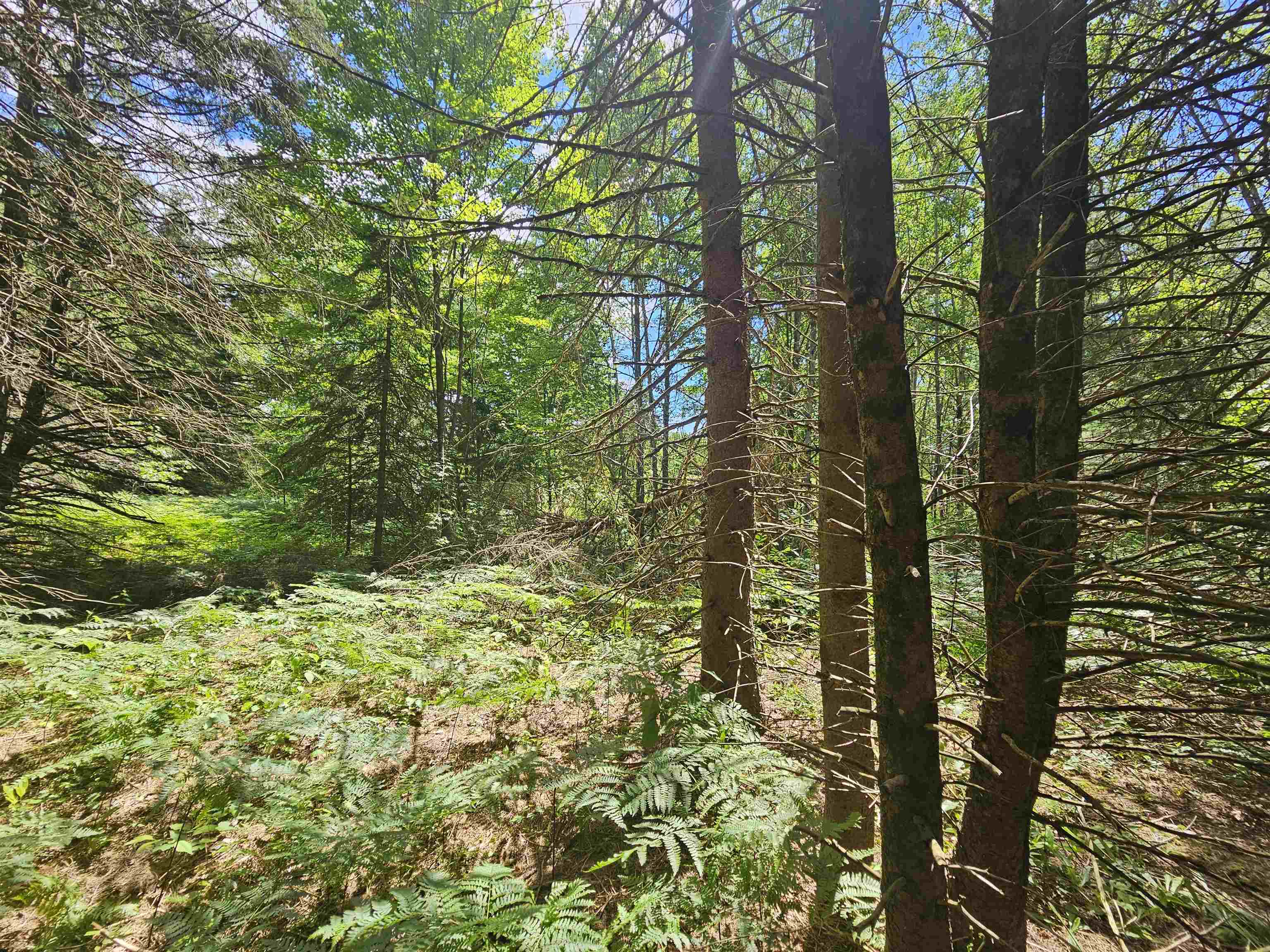 main property photo 42