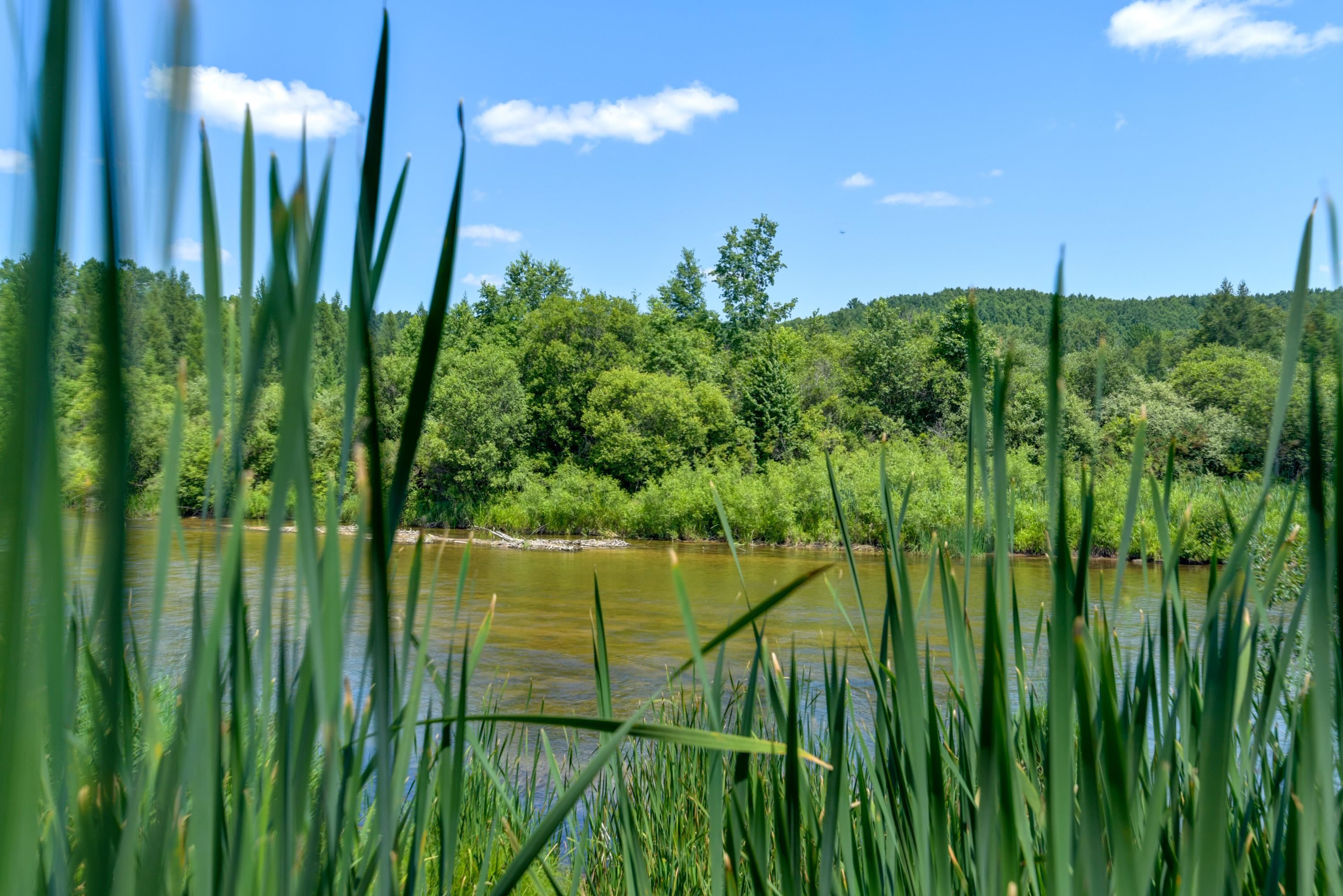 main property photo 62