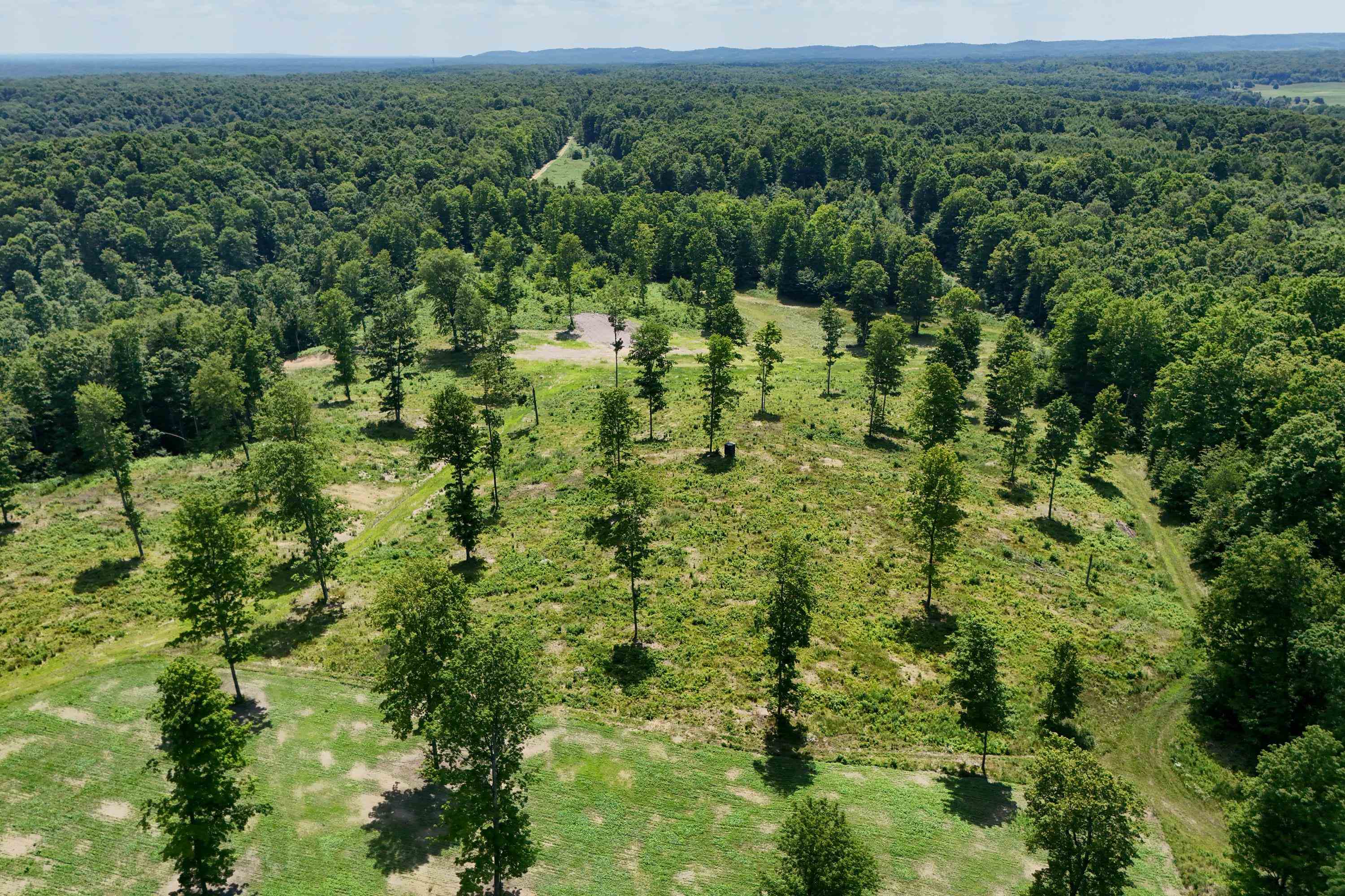 main property photo 63